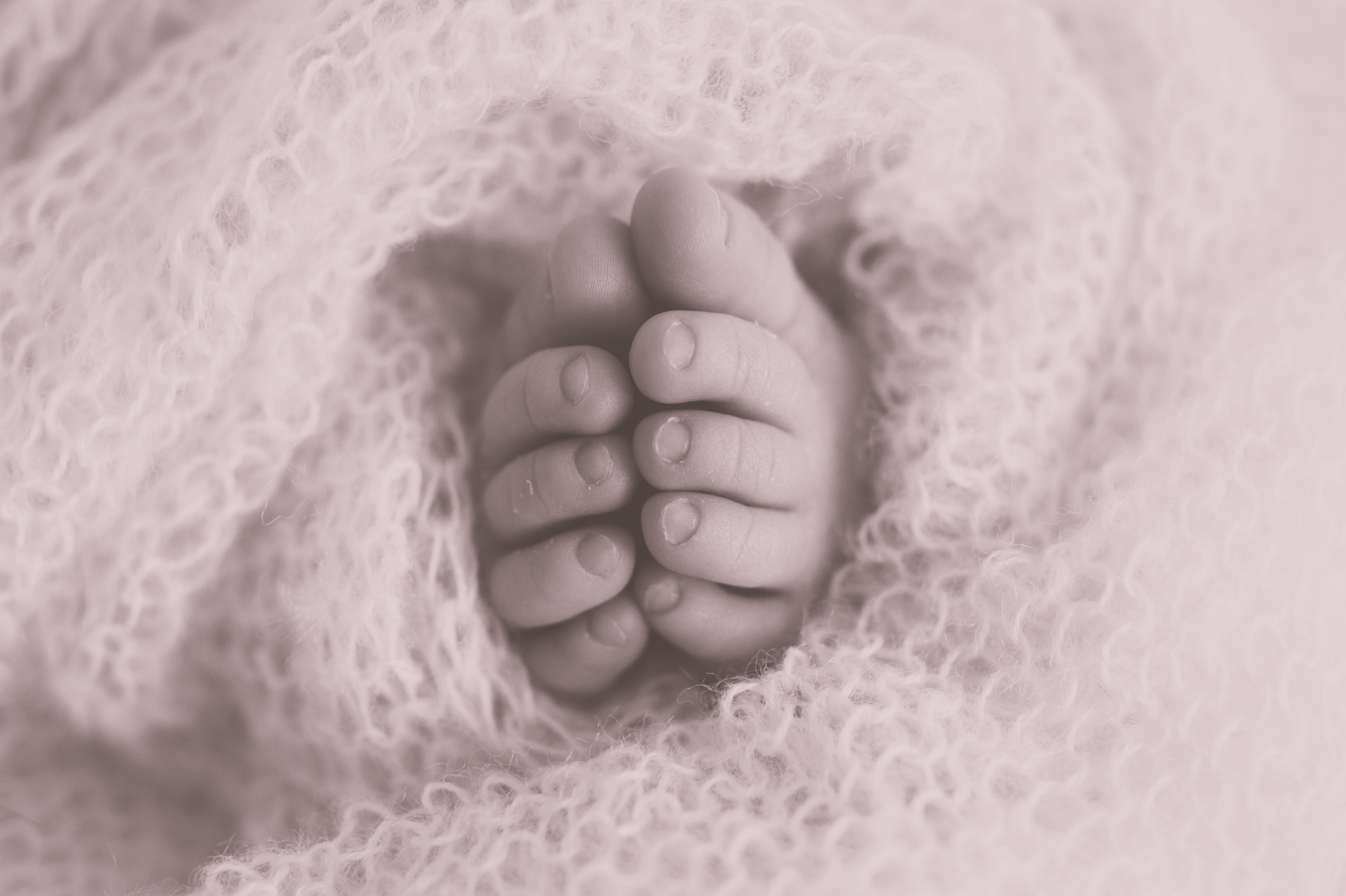 Milestone cake smash Newborn Studio Session | Cara Peterson Photography Rockford IL-3-5.jpg