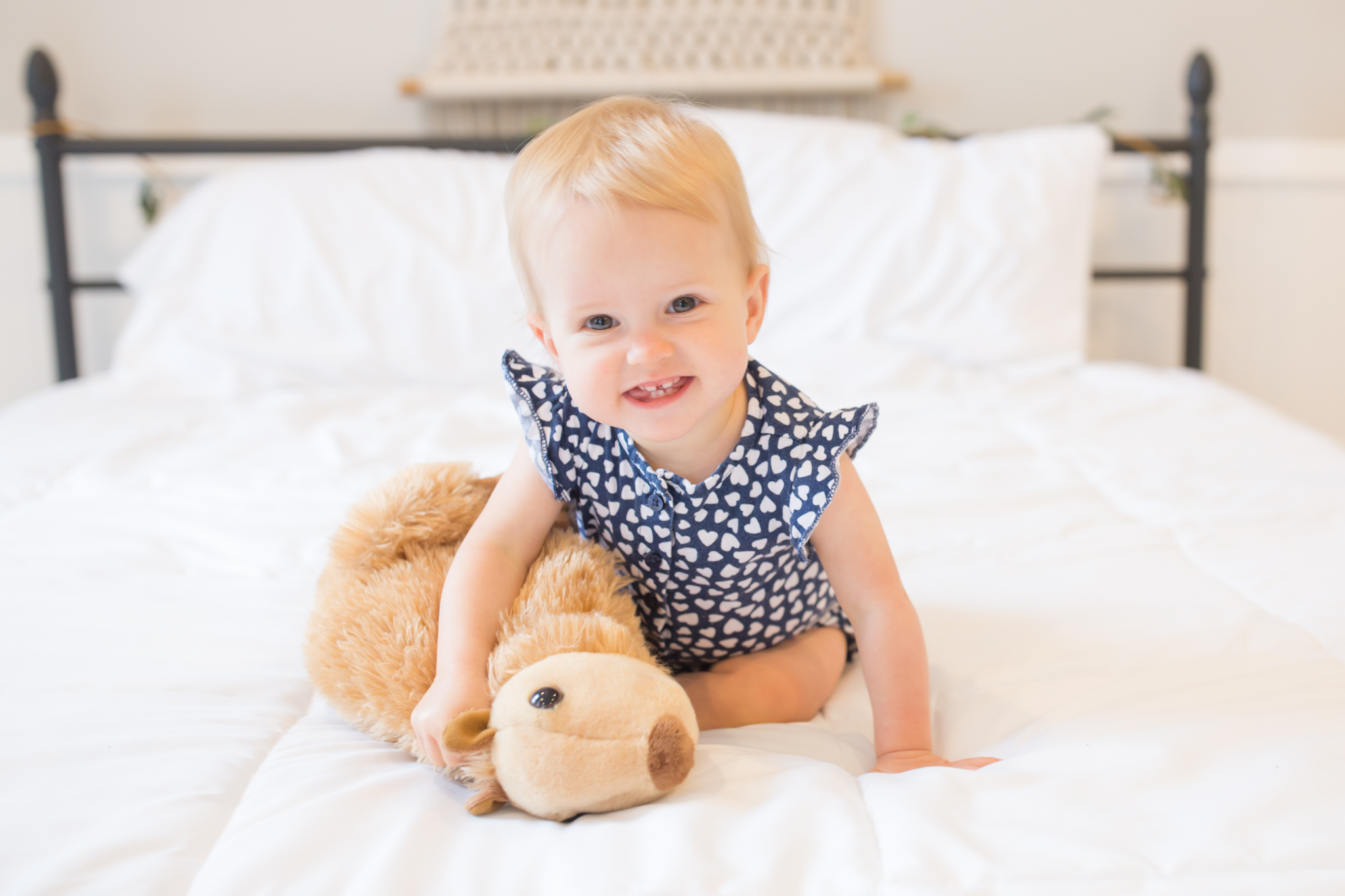 Milestone cake smash Newborn Studio Session | Cara Peterson Photography Rockford IL-4.jpg