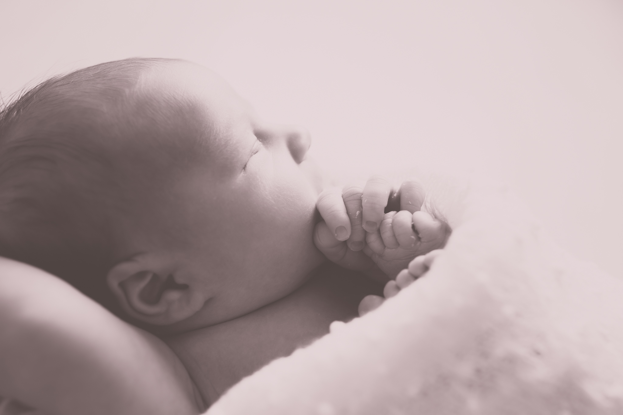 Newborn Photography Nuetral Big Sister | Cara Peterson Photography Rockford IL-9.jpg