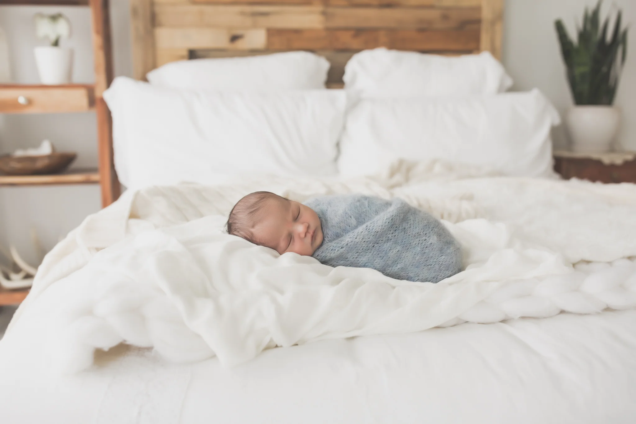 Silas Studio Newborn Session - Cara Peterson Photography 2019 -7.jpg