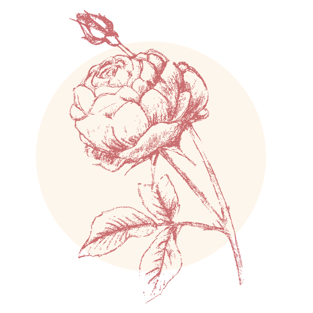 rose_brightest.png