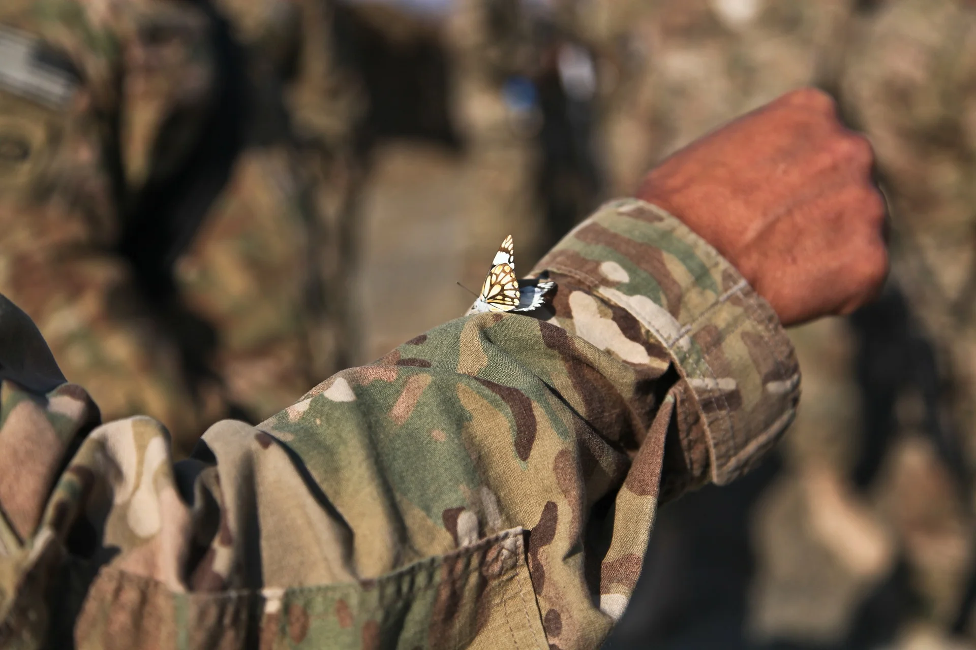 change-management-veteran-leadership.jpg