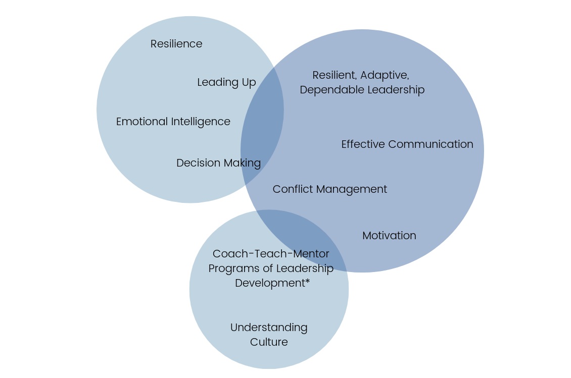 OHC Executive Development Topics.png