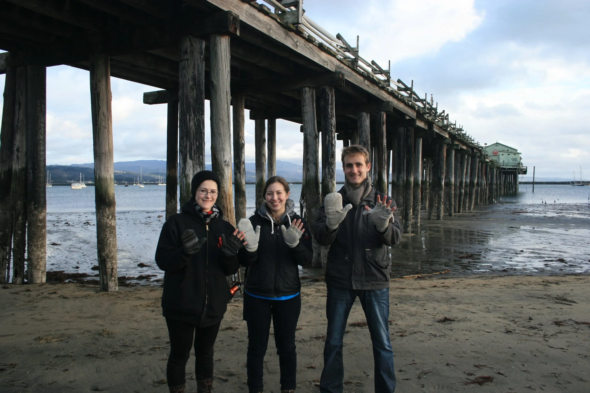 130111_Lowtide2.jpg