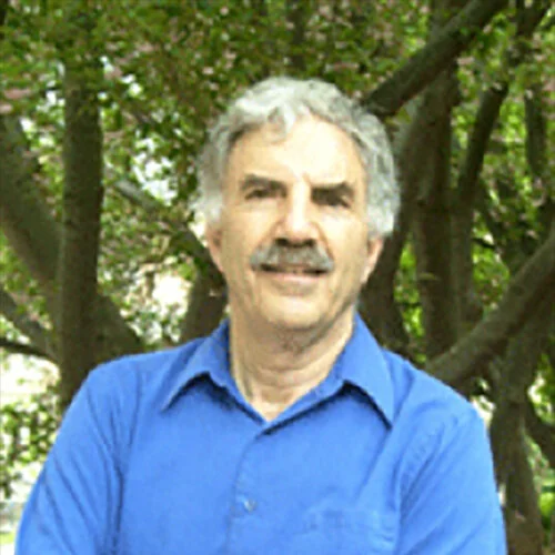 mike bender net worth