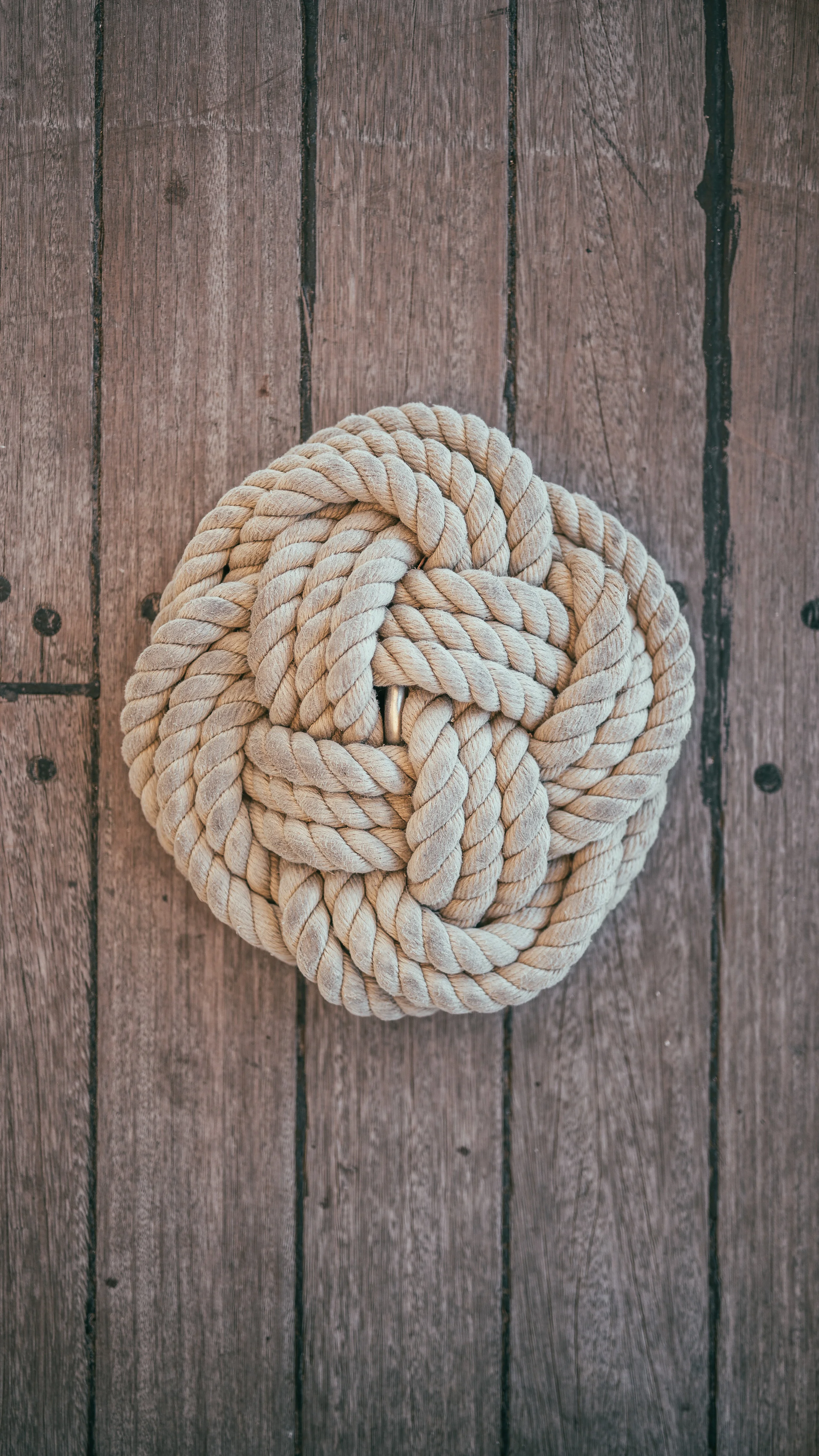 Cognitive Knot #1