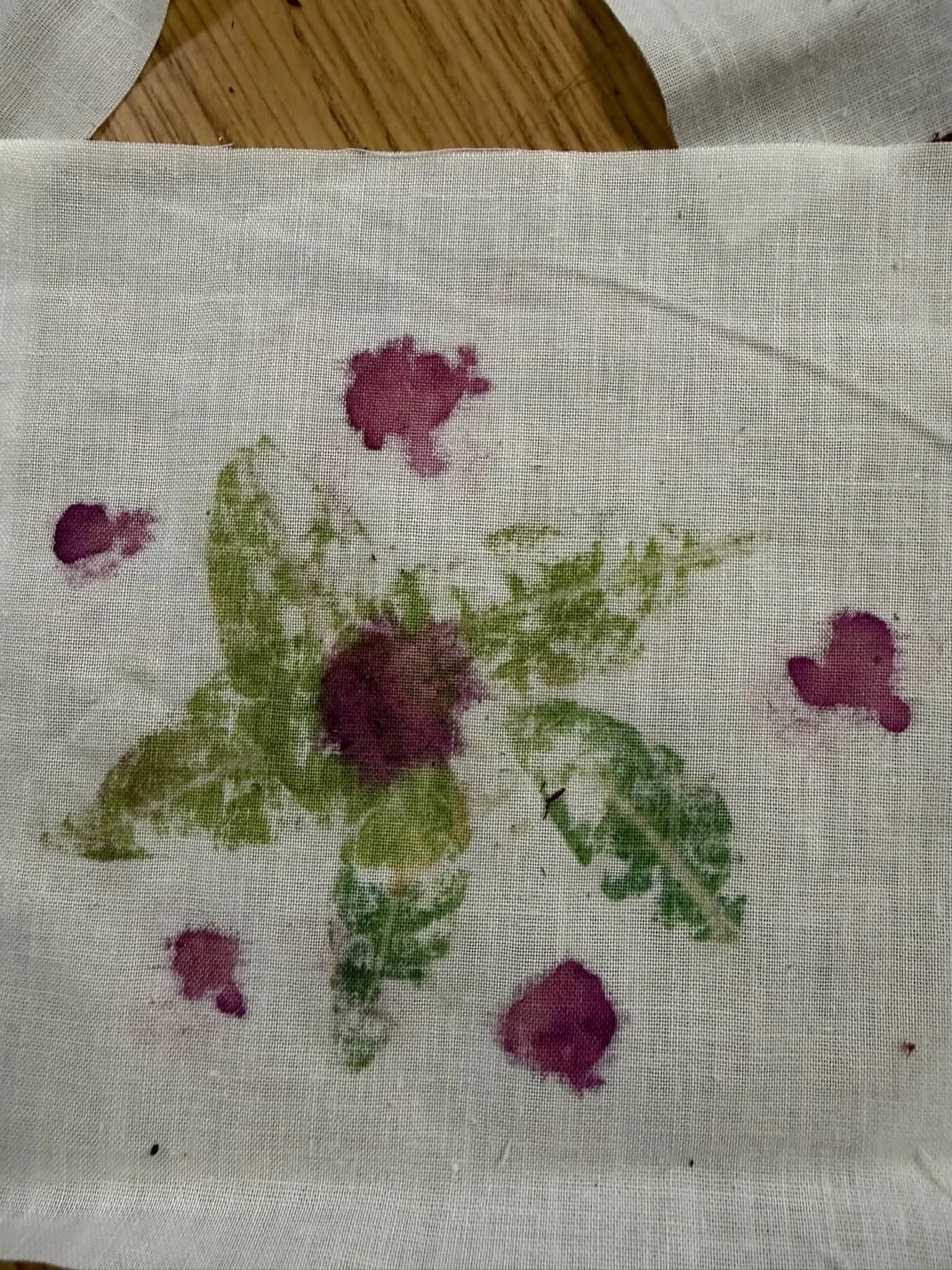 Today in studio Ellen&rsquo;s 5/6 class, students learned about Hopi amaranth and its varied uses.

Some students experimented with crushing and hammering pampering the amaranth, along with indigo leaves, to create art work on fabric. 

Other student