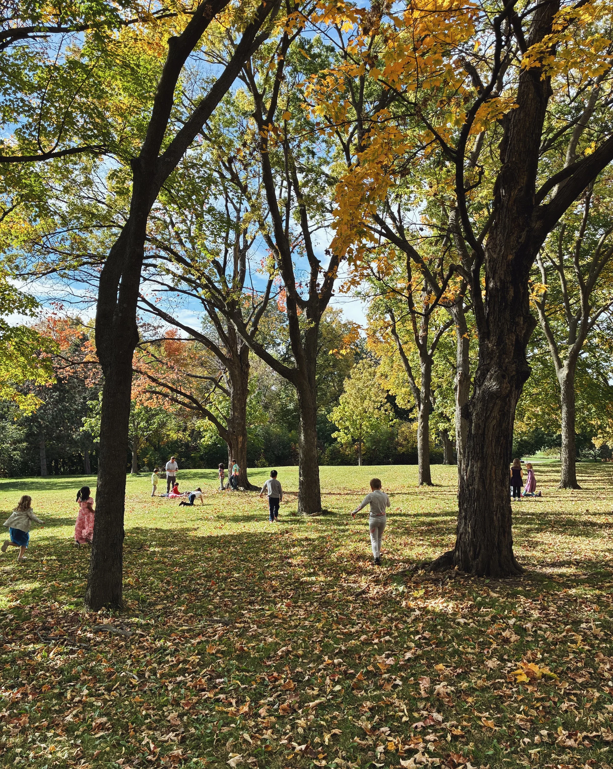 Fall at the Grove.jpeg