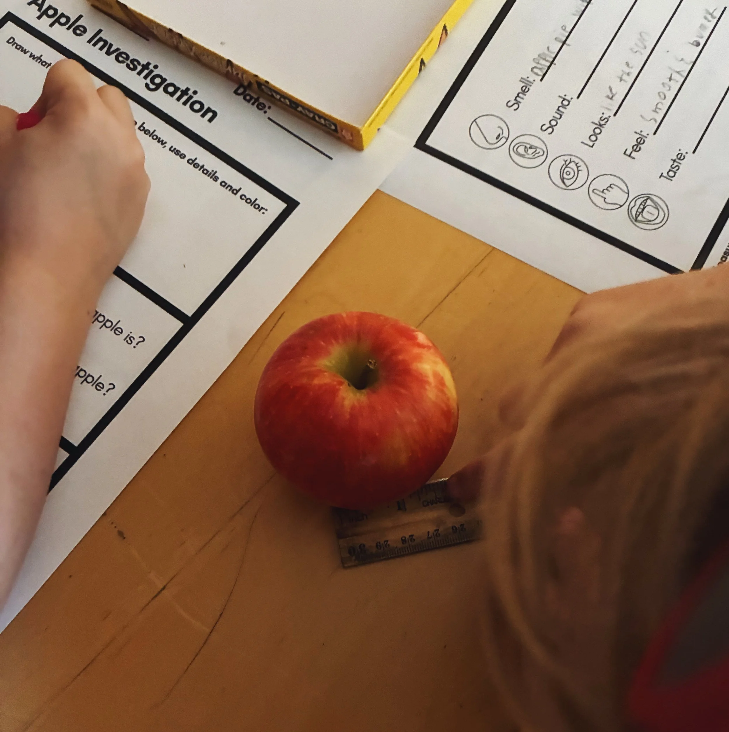 Measuring Apples.jpeg