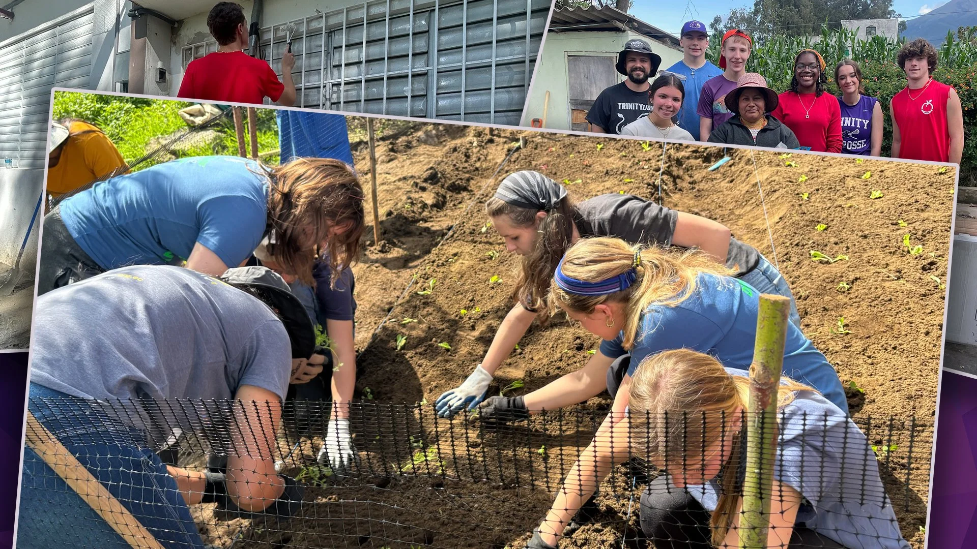 GoWeek Hero Image.jpg