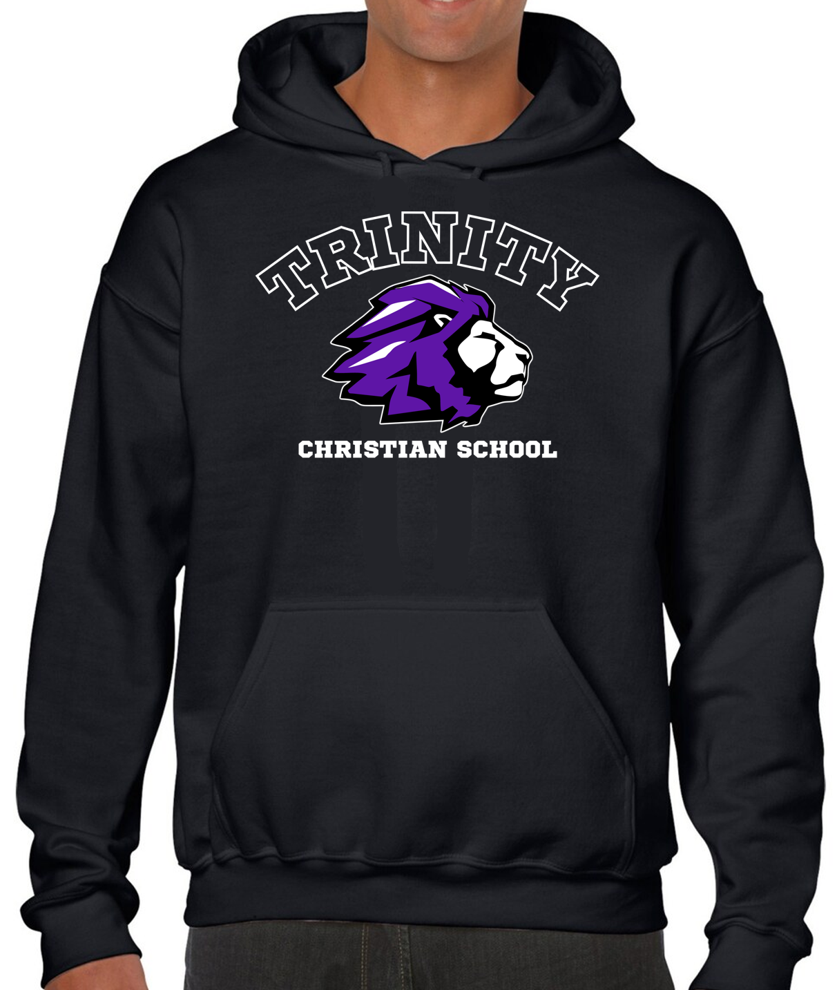 Trinity Arched over Lion Head Christian Hoodie Sweatshirt Youth & Adult ...