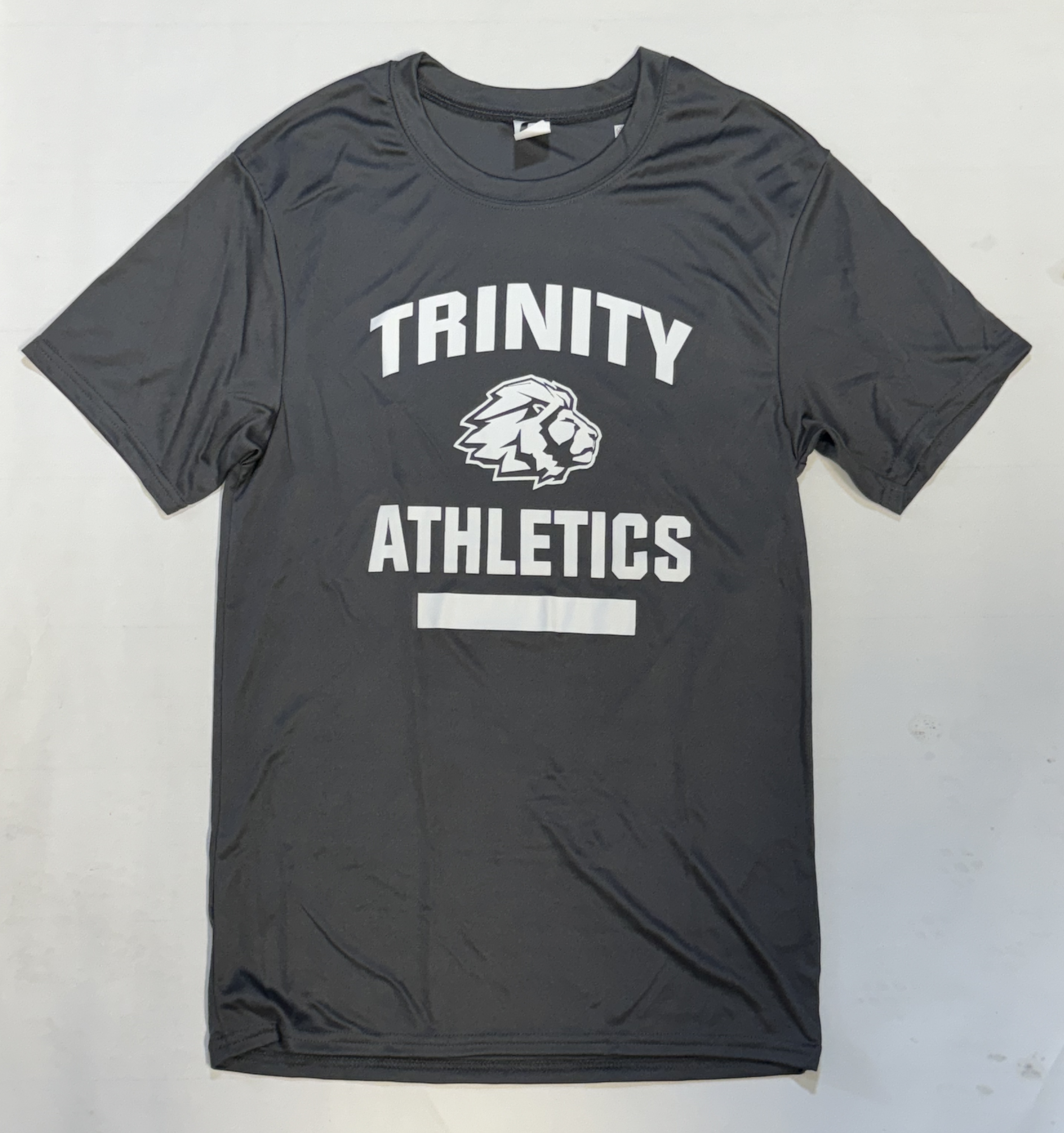 TCS PE BSN Men's Dri-Fit SS (Grey).png