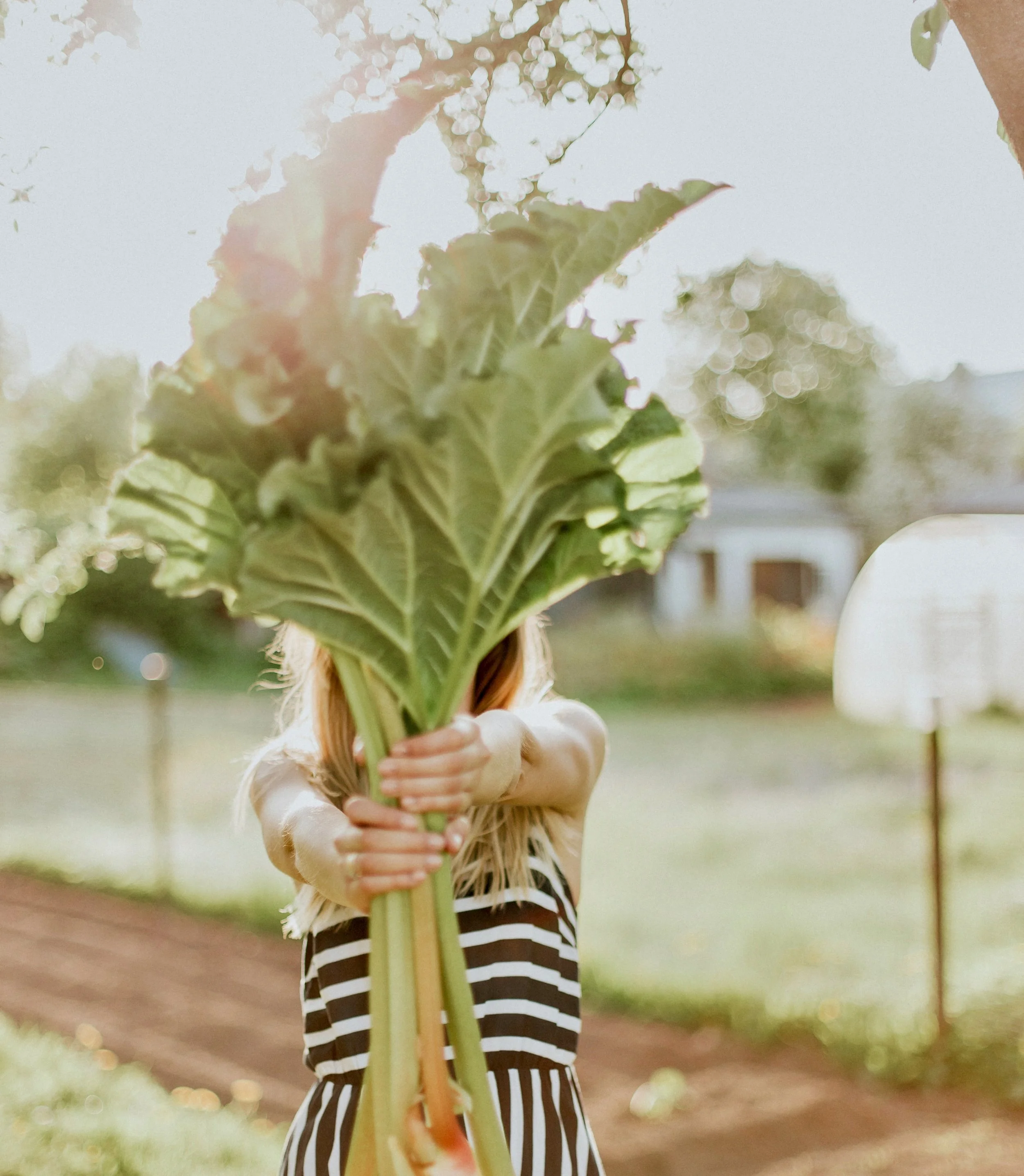 Tips to Maximize Your Nutrition Coaching Results