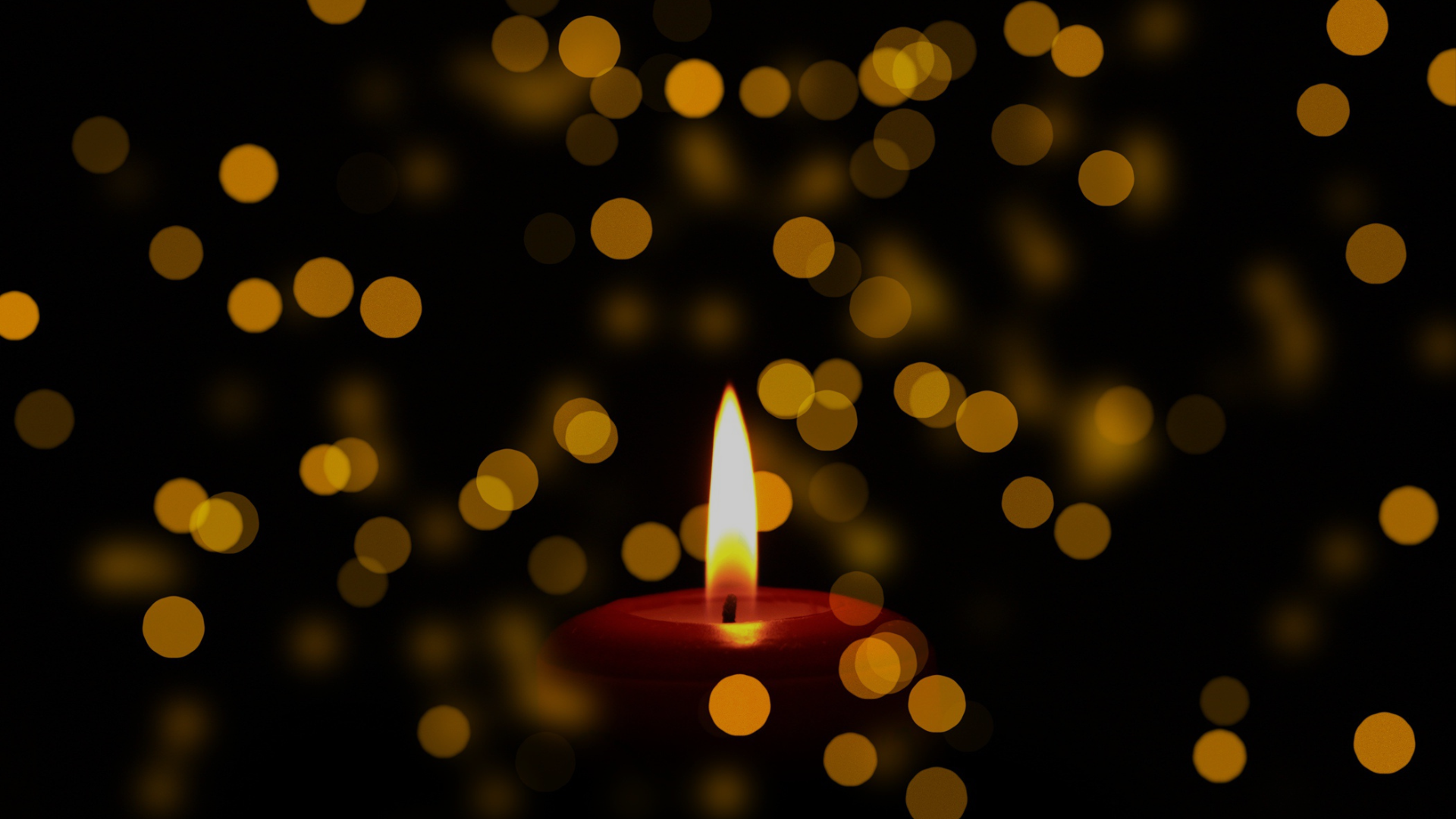 Women in Mid-Life and the Biology of Grief