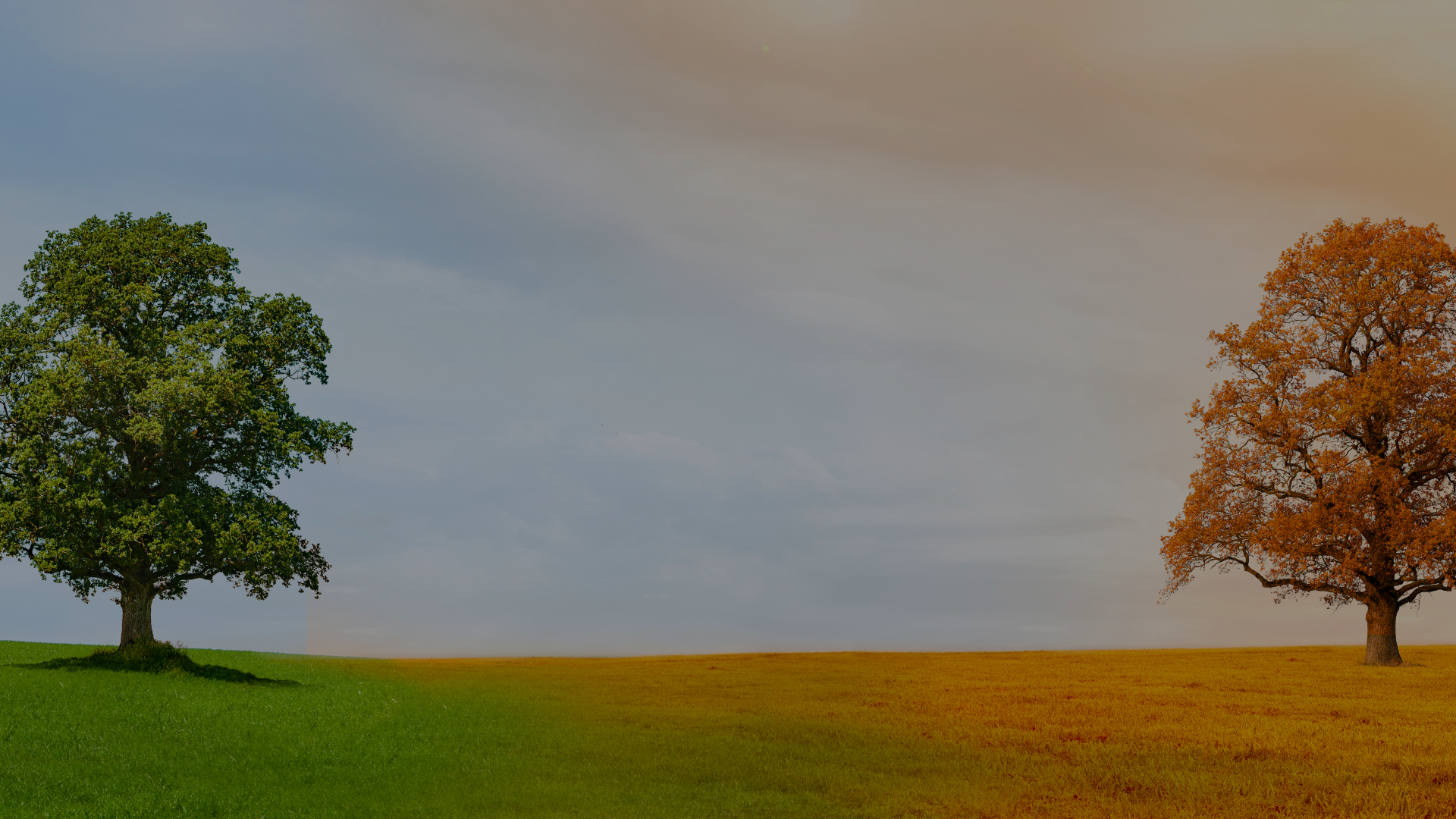 Untitled design (49).png