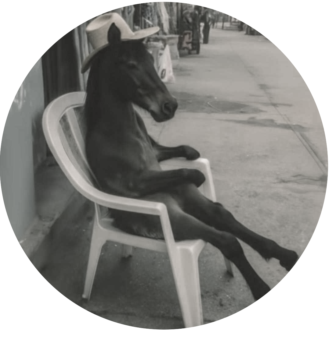 Charles-Edouard QUERLIER | Master Student (Réseaux et télécommunication)