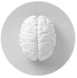 Laura MARIN | M2 Student (sup. P Quilichini, M Pompili)