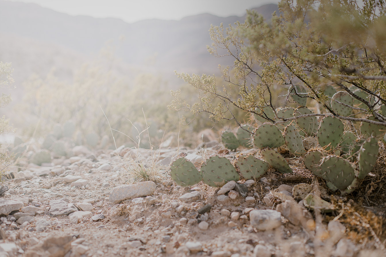 header-elpaso-8424.jpg