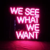 we see what we want.jpeg