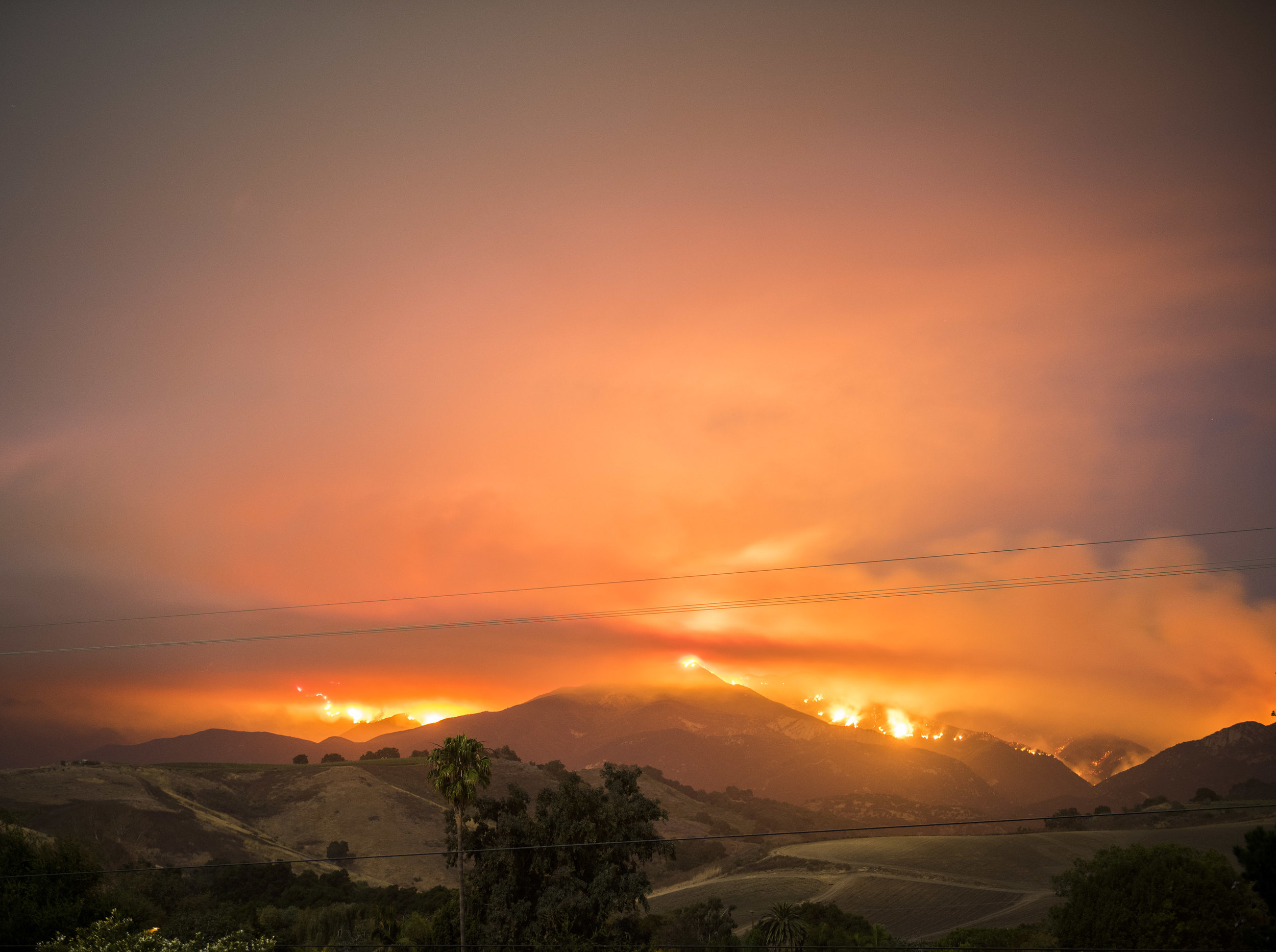 CaliforniaDreaming.jpg