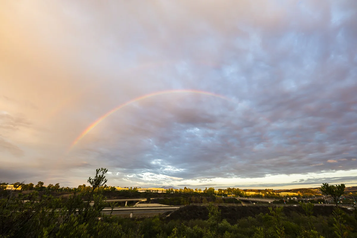 Sigma 14mm 1.8 with FTZ adapter