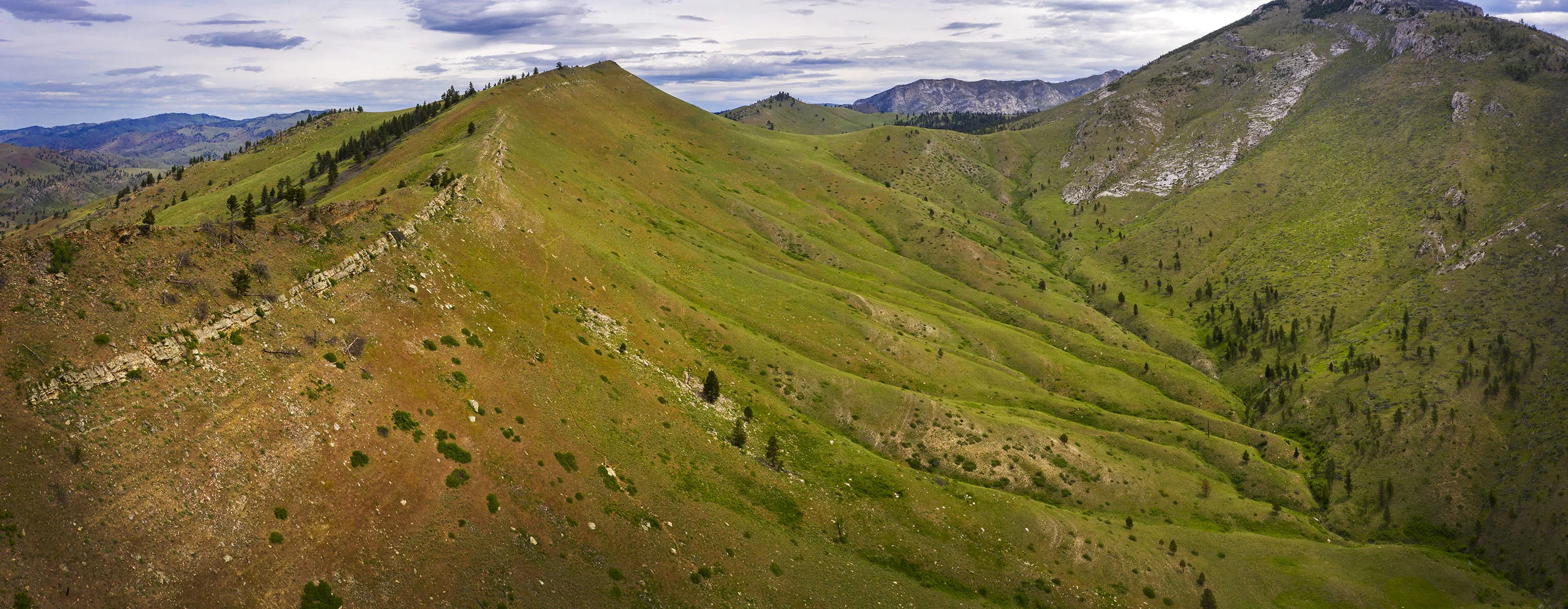 Remembering Mann Gulch