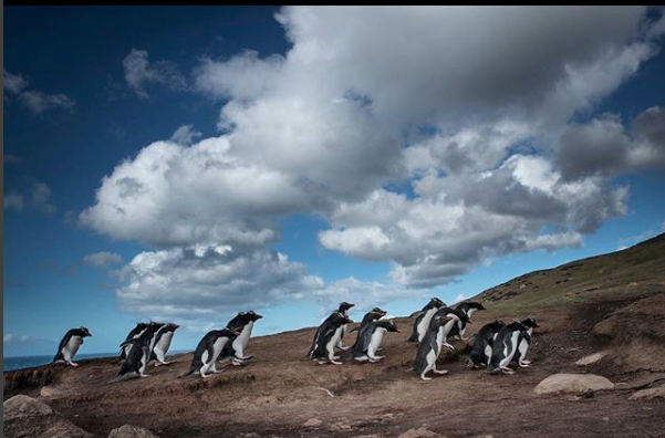 Screen Shot 2018-10-20 at 12.56.48.png