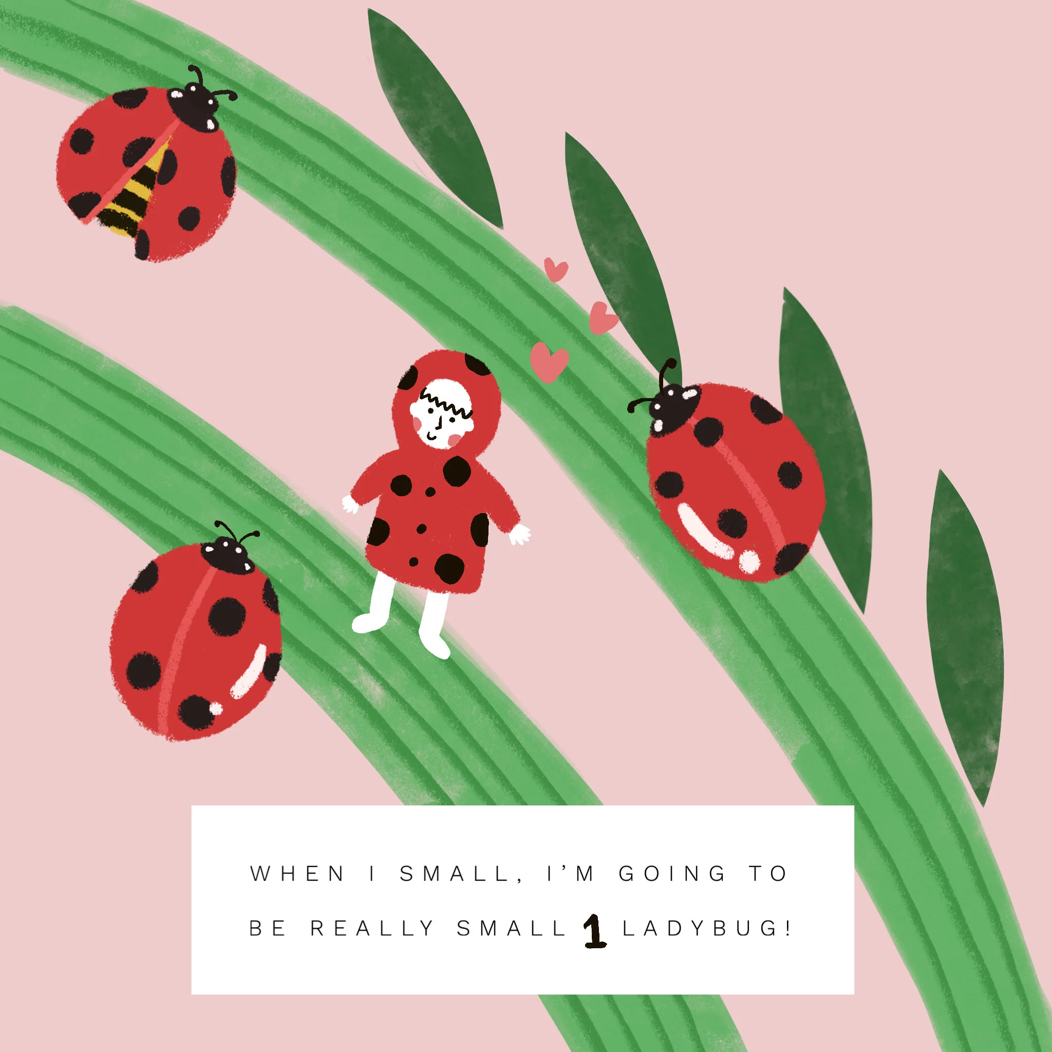 1_Ladybug.jpg