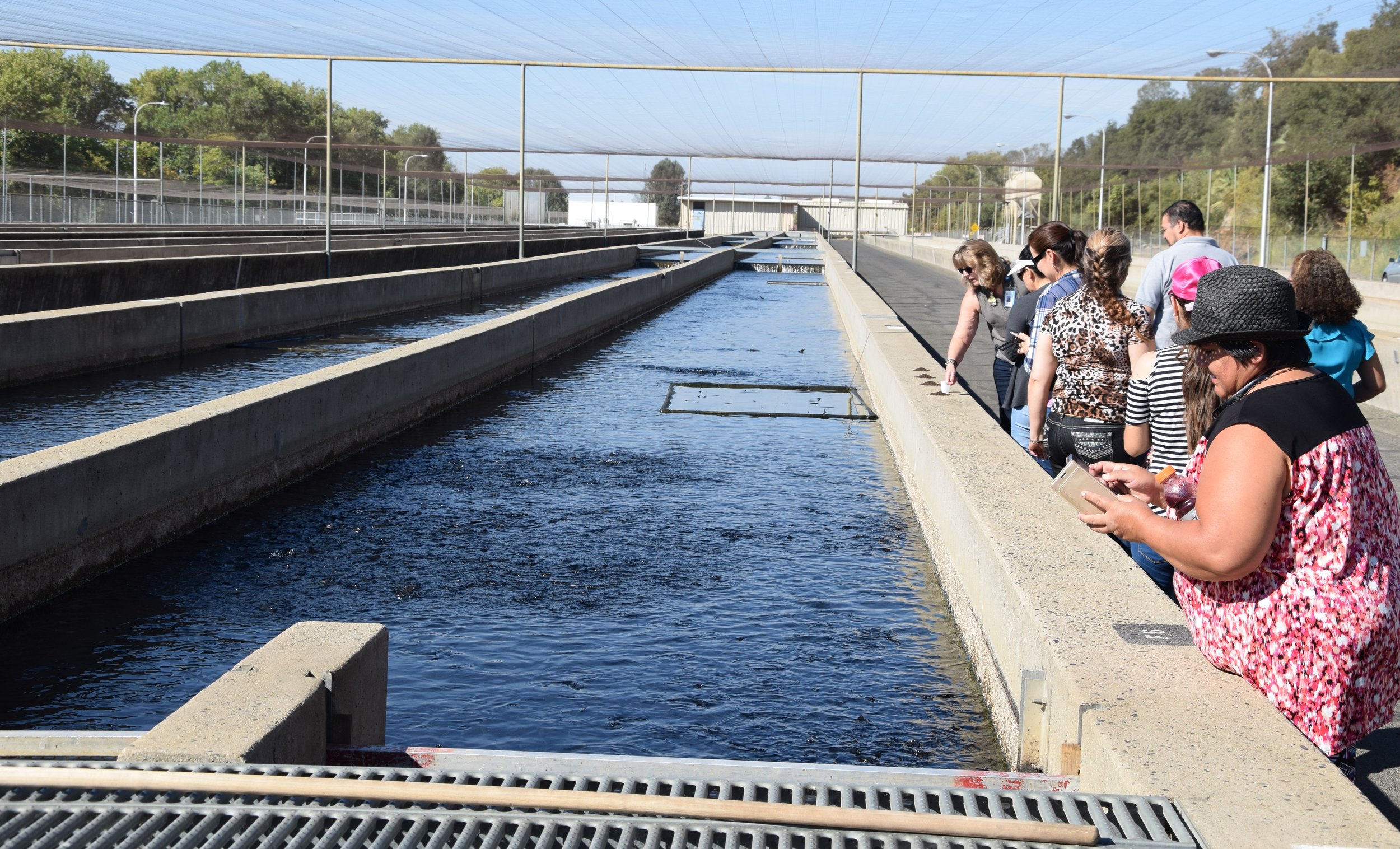 Fish Hatchery 2018.JPG