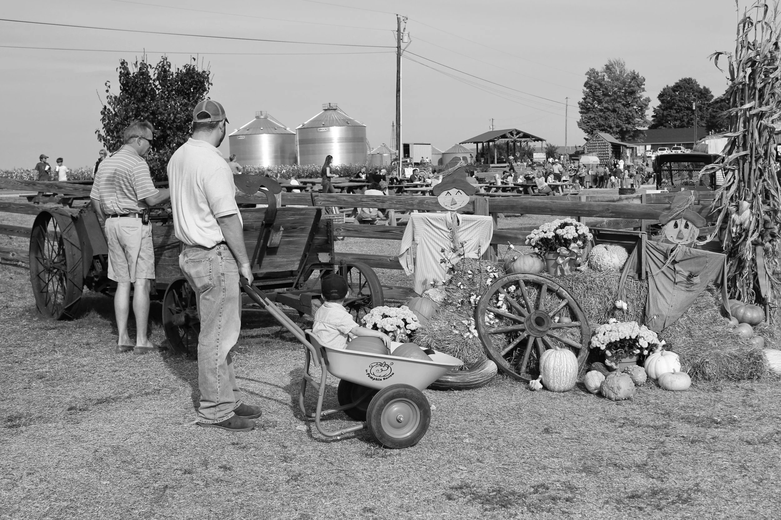 Old-time, high value farming in action.
