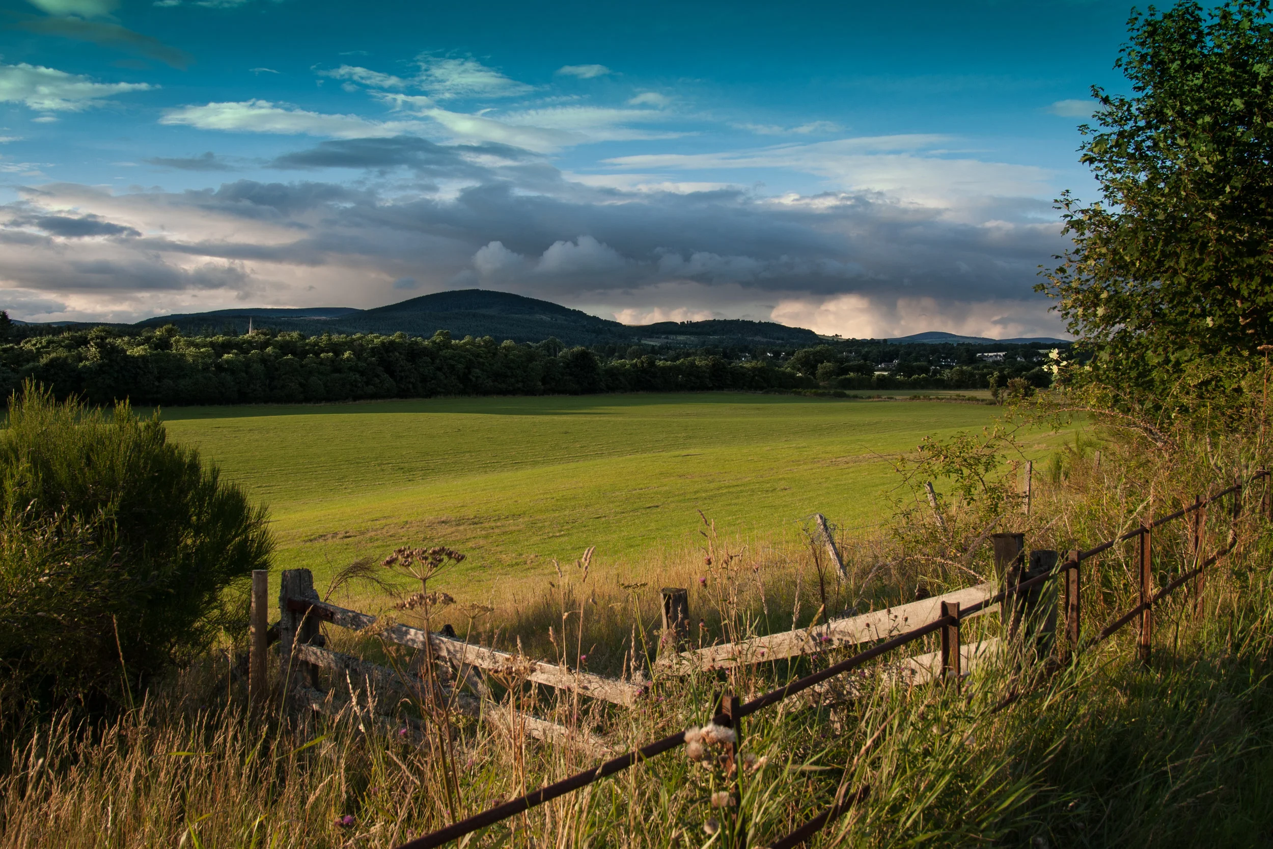 Lovely green pastures