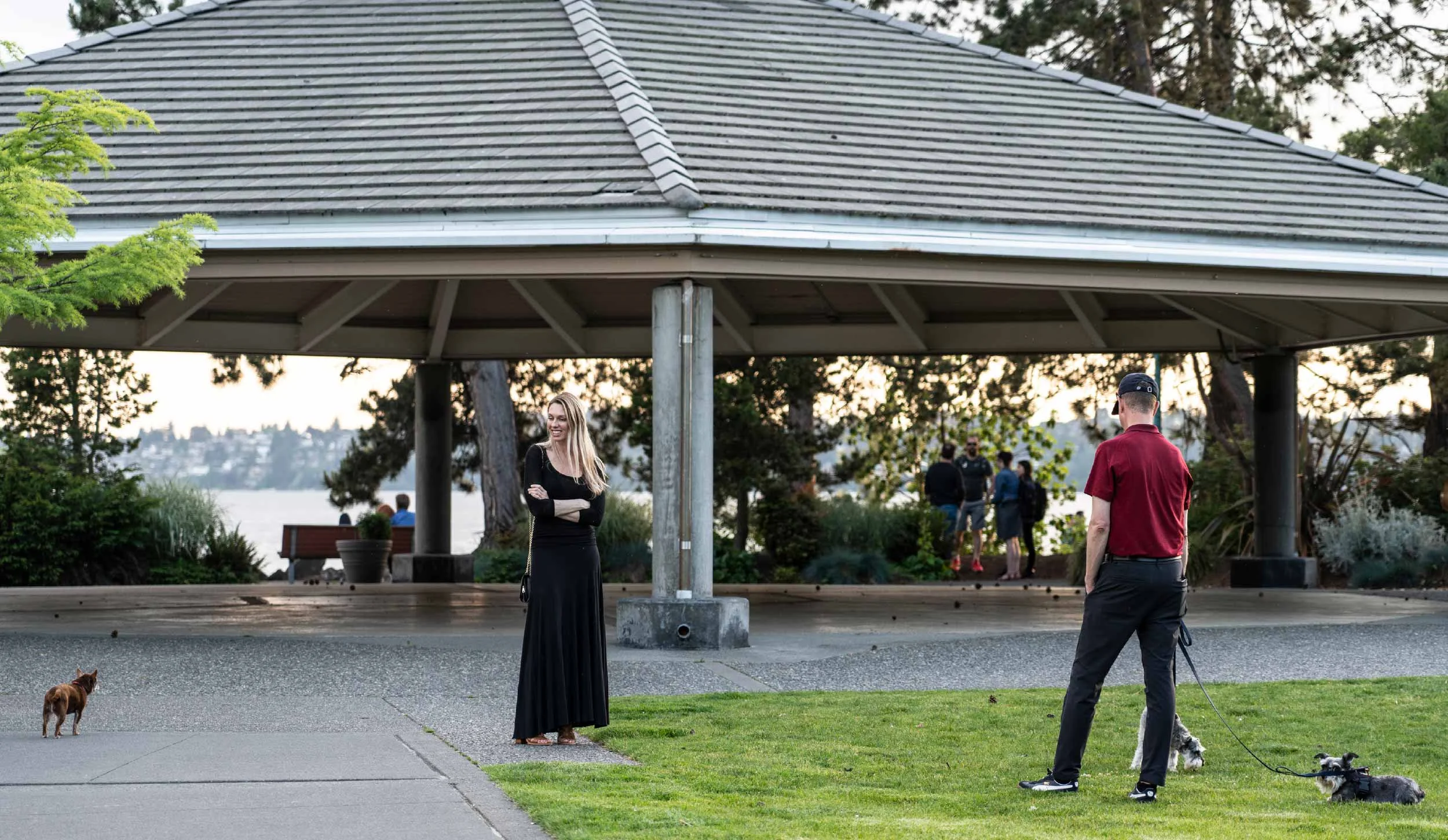 A group of people socializing in a park near a lake, under a pavilion with a tiled roof. A woman in a long black dress stands smiling, while a man in a red shirt and cap walks with two dogs on leashes. Other people are visible in the background among