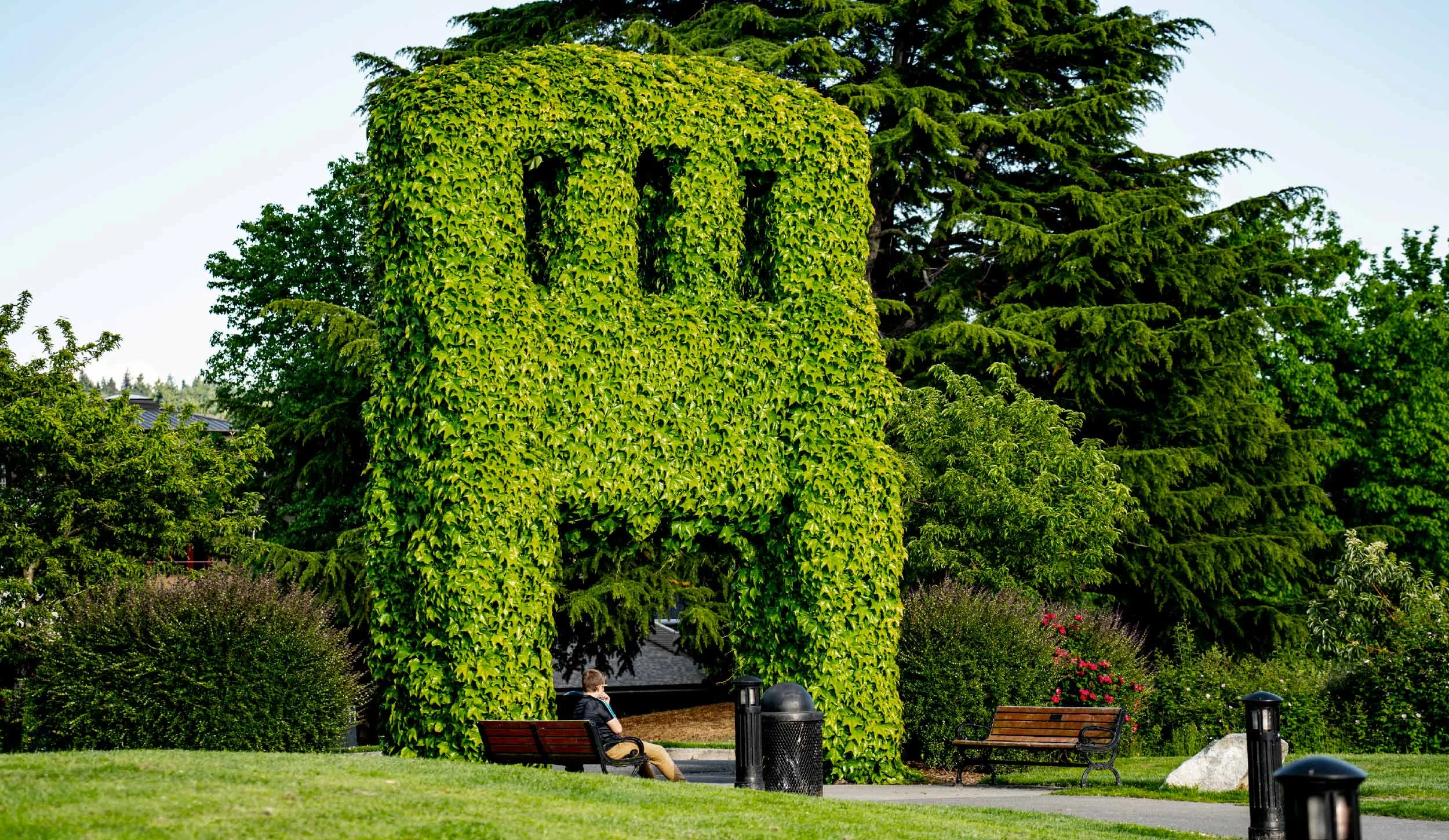 A park with a large, leafy green arch made from climbing plants, surrounded by trees and shrubs. There are park benches, a trash can, and a person sitting on a bench in front of the arch.