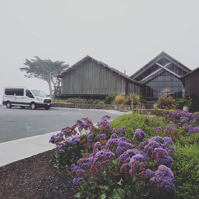 Did you know that we also provide transport to our wheelchair and gurney bound clients to social outings like baseball games, birthday partys, sightseeing and weddings? #nemt #nonemergencymedicaltransportation #wheelchairtransportation #gurneytranspo