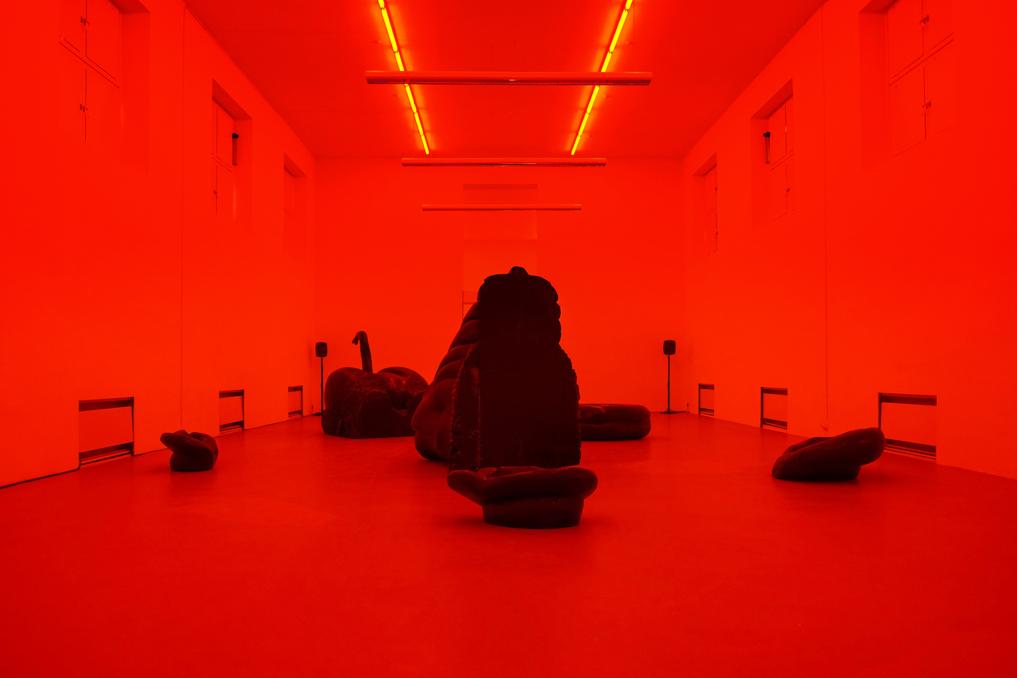 Exhibition view Brud The Donut of Confusion at Kunstverein München, 2018 .JPG