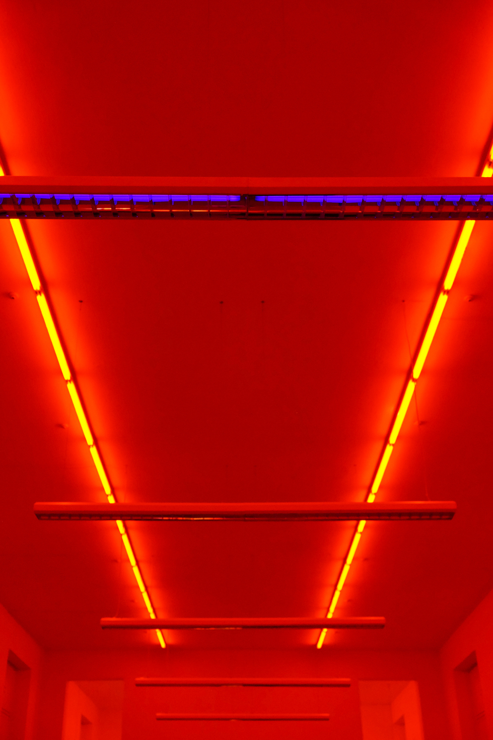  Brud,  Black and White and Red All Over,  ongoing, installation, ultraviolet light, infrared light, daylight, variable dimensions 