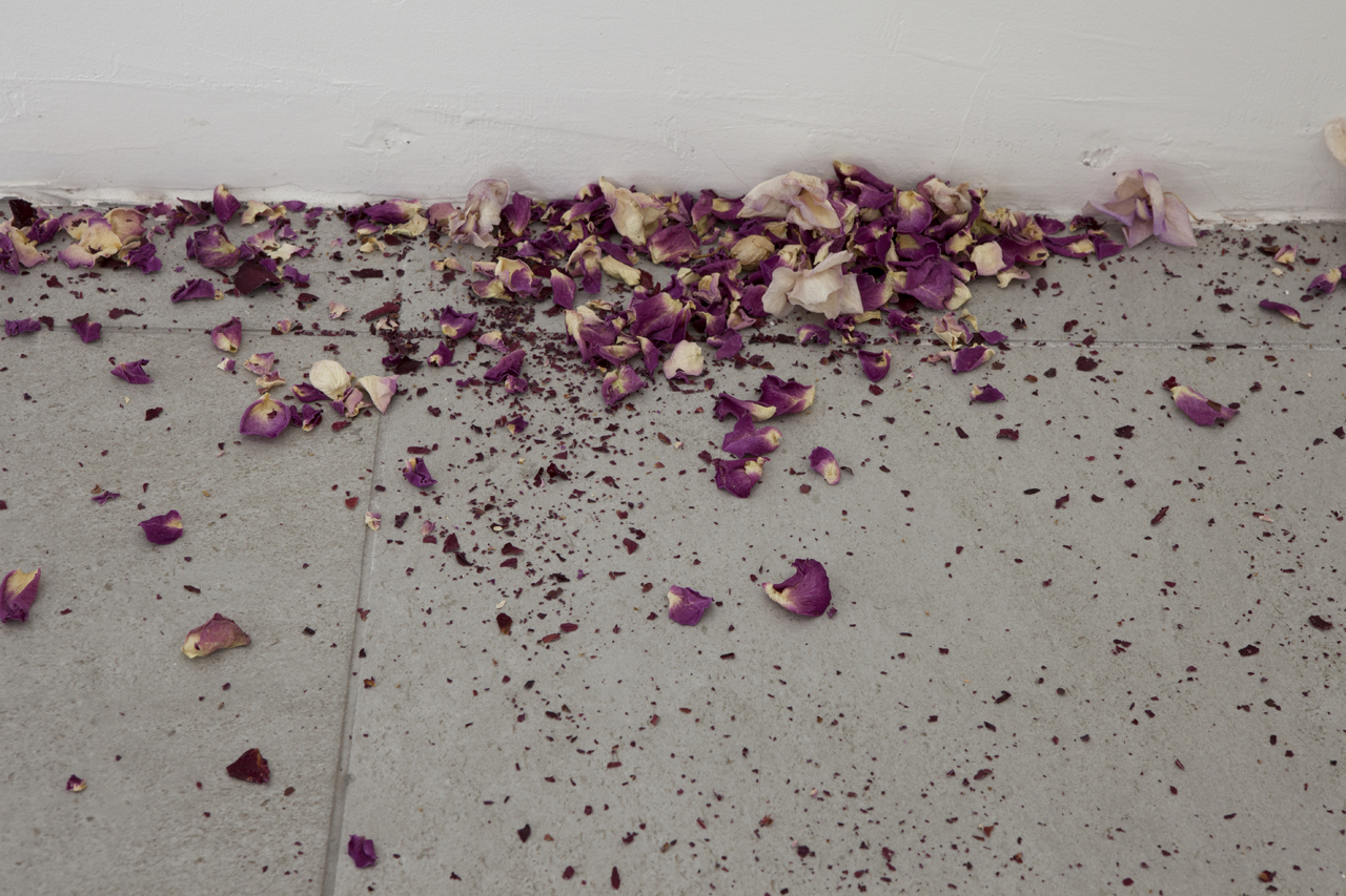  Davide La Montagna,  Beauty’s summer , 2018, 50 pink dried roses and orchids 