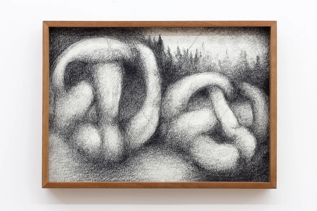 Till Megerle, Untitled (Durst) , 2016, ink, pencil on paper, 30,5 x 22 cm