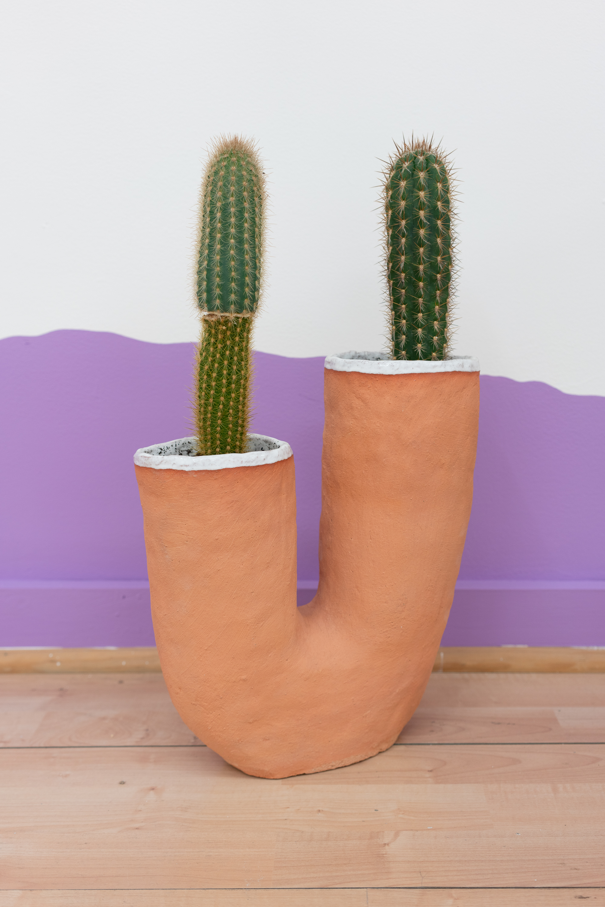  Stephanie Rohlfs,  Grafted Plant Object , 2018, Grafted ceramic, cacti, 20 x 12 x 5 in. 