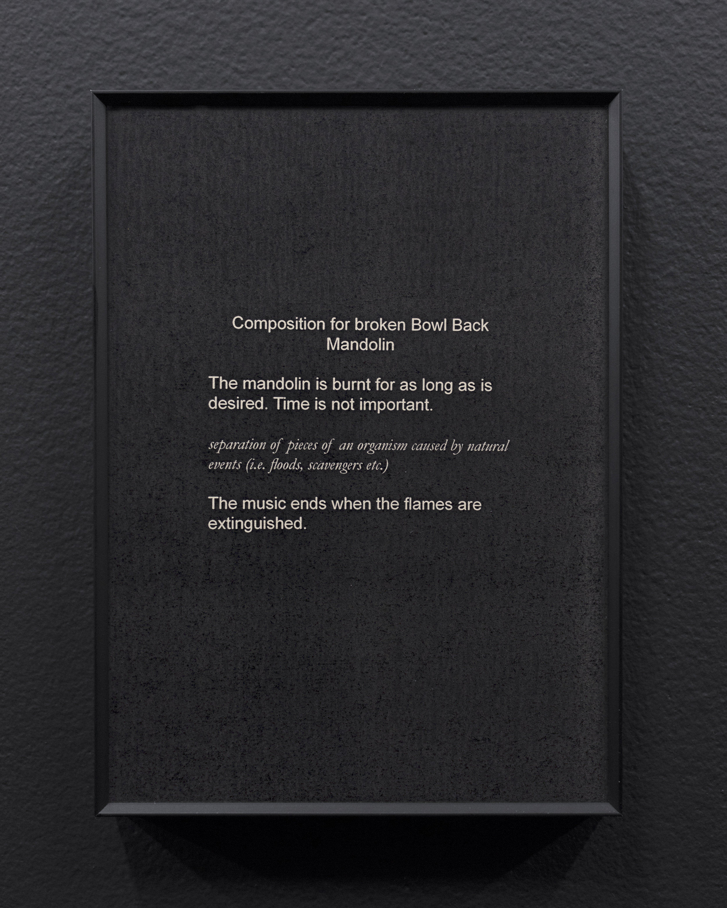  Micca Schippa,  Composition for broken Bowl Back Mandolin,  Inkjet print on photo rag. 2018 