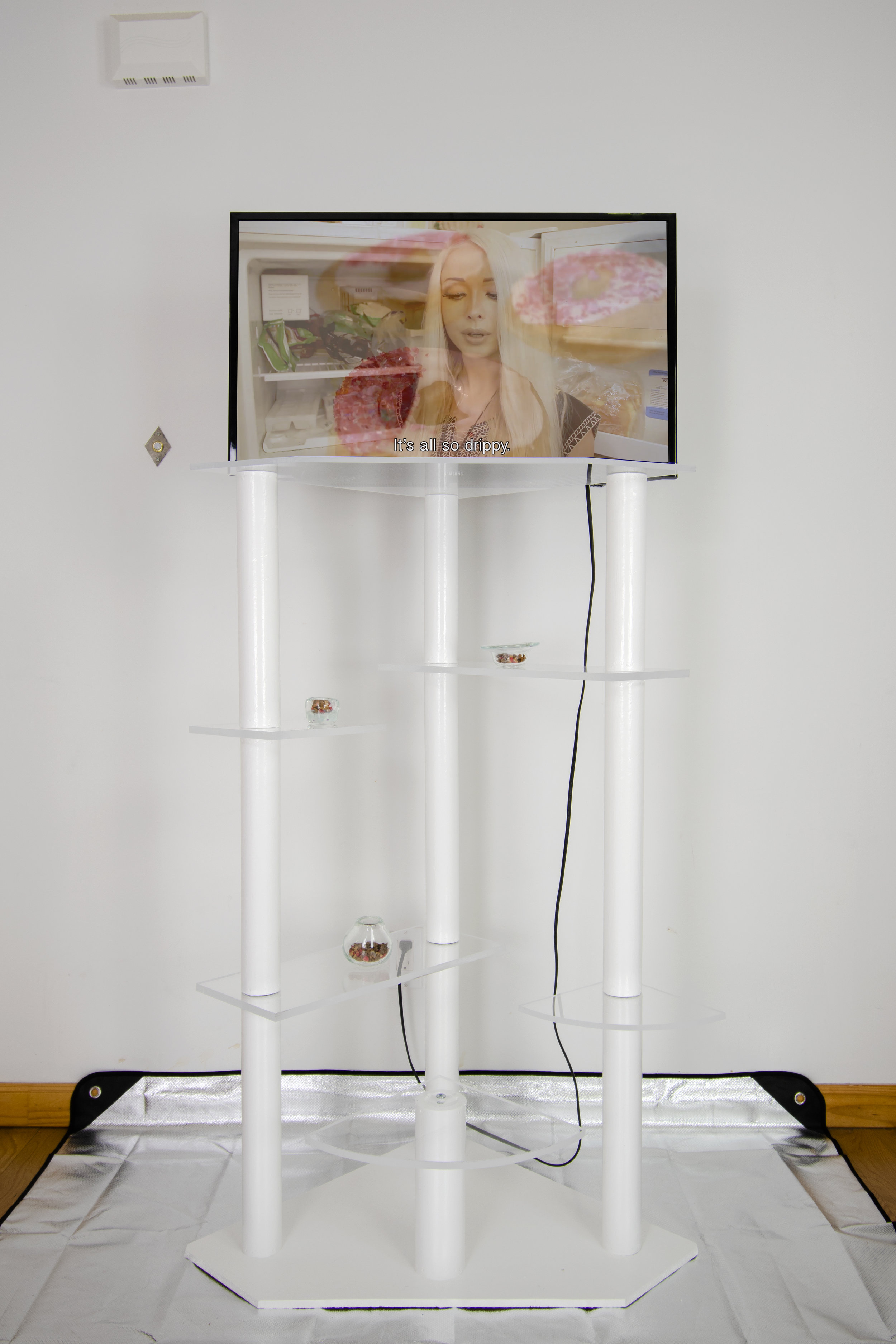  Deidre Sargent,  who do i trust? i trust ME and my donut-shaped brain , 2019, tv mounted on modified cat-tree with polymer shelves, blown glass bowls and cat treats  video duration , 5 minutes and 30 seconds  