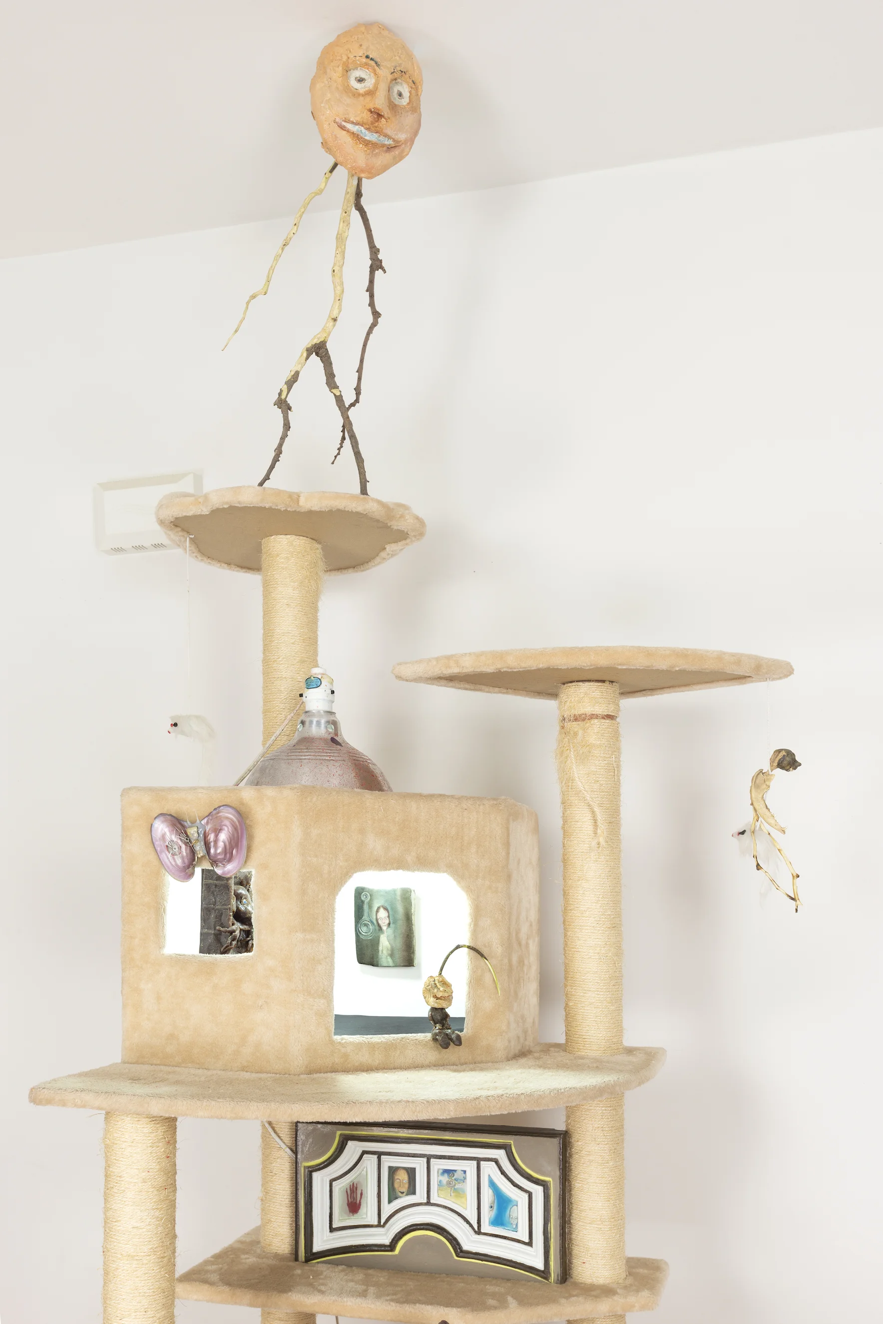 Scerbin_Radiator_catbox_3.jpg