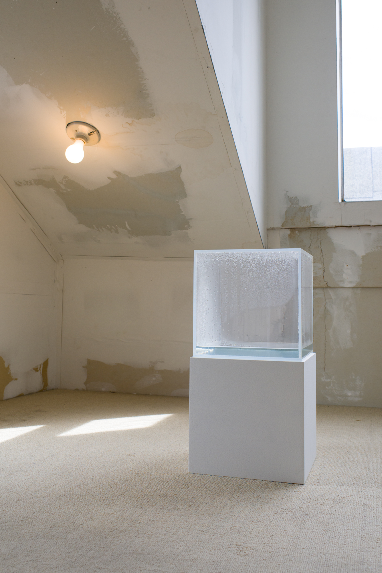  Hans Haacke,  Condensation Cube , 1971. Clear acrylic, distilled water, climate in area of display, 10 x 10 x 10 inches. Courtesy of the artist and Paula Cooper Gallery, New York. Private collection, San Francisco; Photo: Preston/Kalogiros; Courtesy