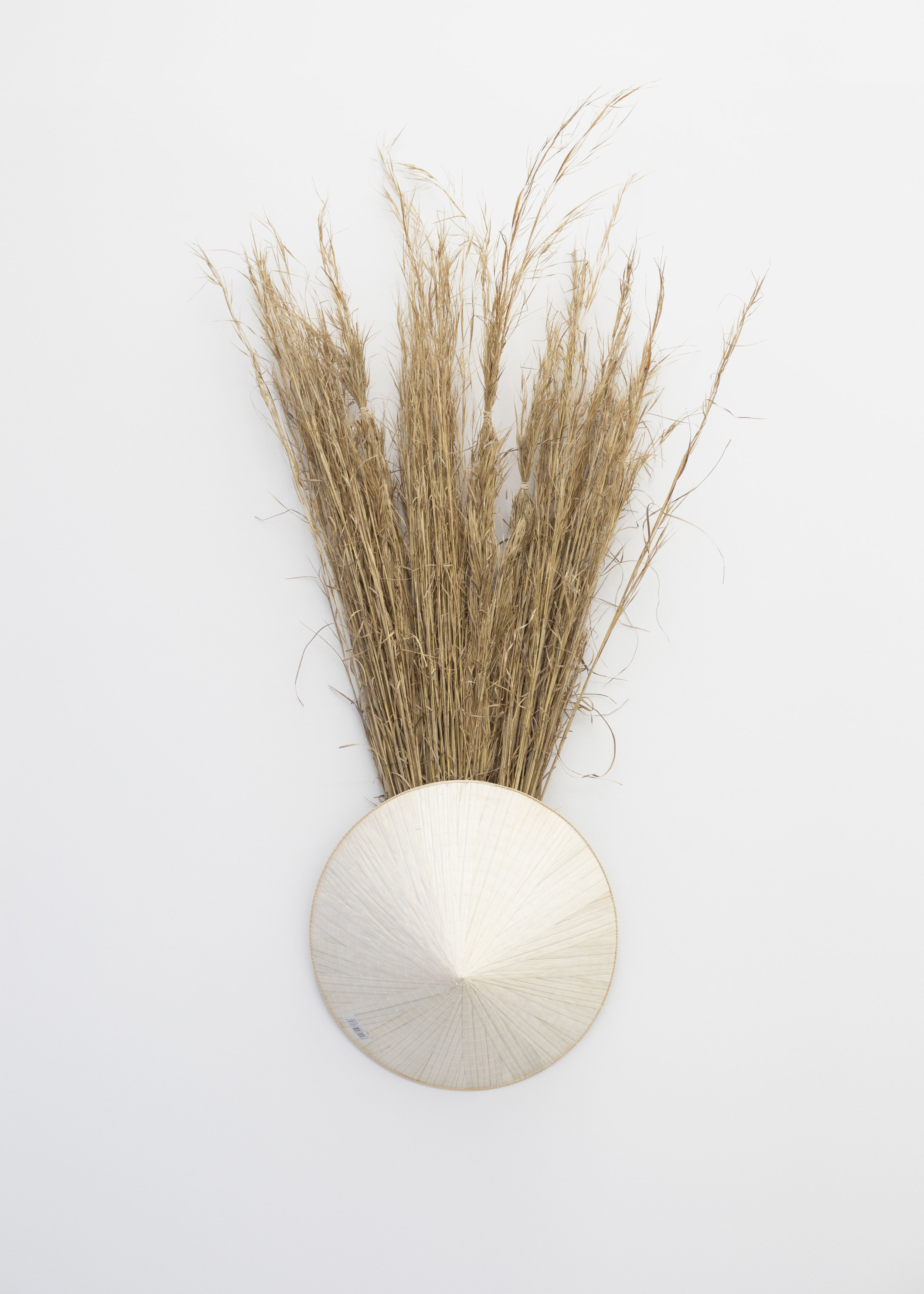  Millian Giang Lien Pham,  Preforge: 9 Stages (One) , 2019. Grass, conical hat 