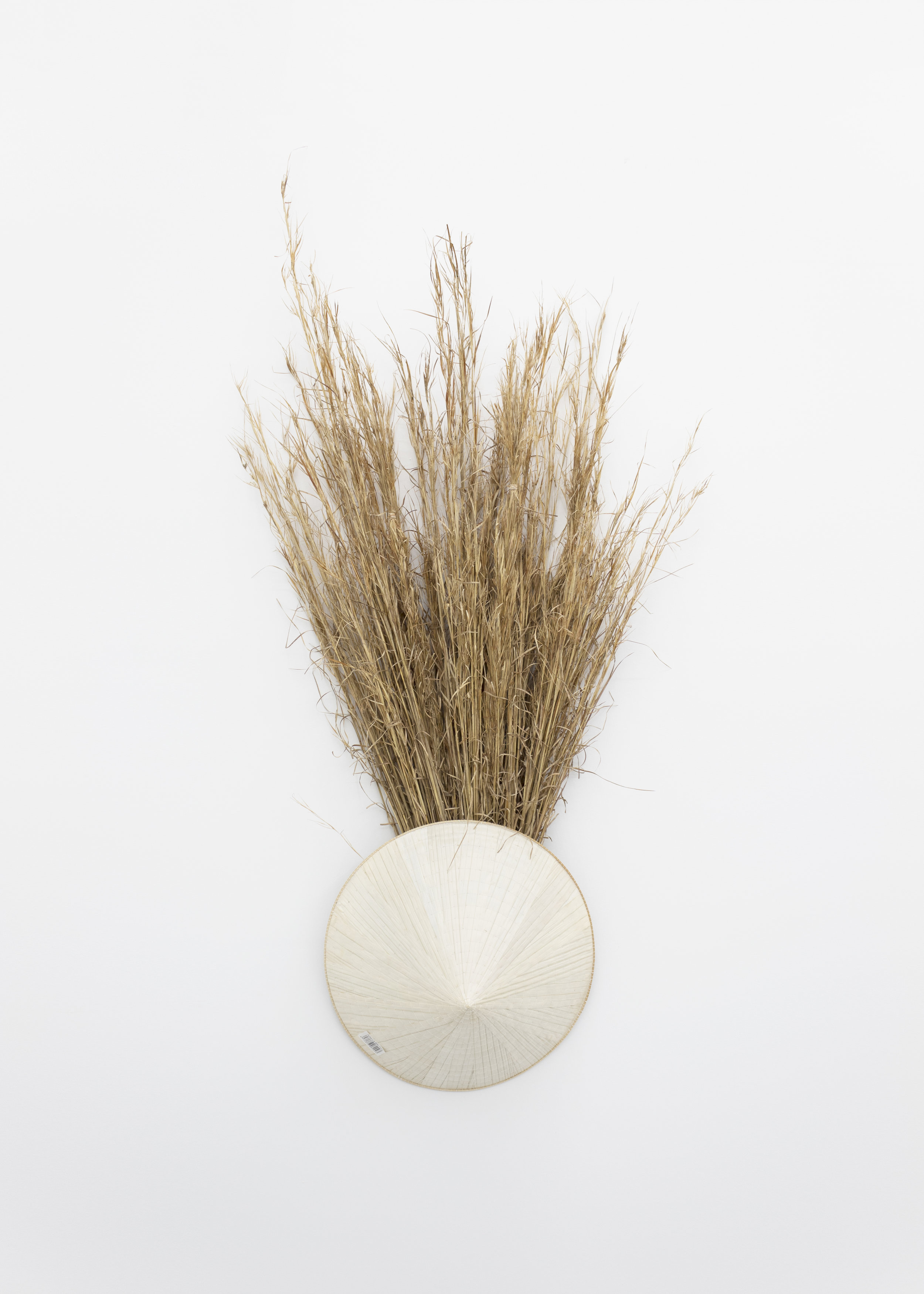  Millian Giang Lien Pham,  Preforge: 9 Stages (Four) , 2019. Grass, conical hat 