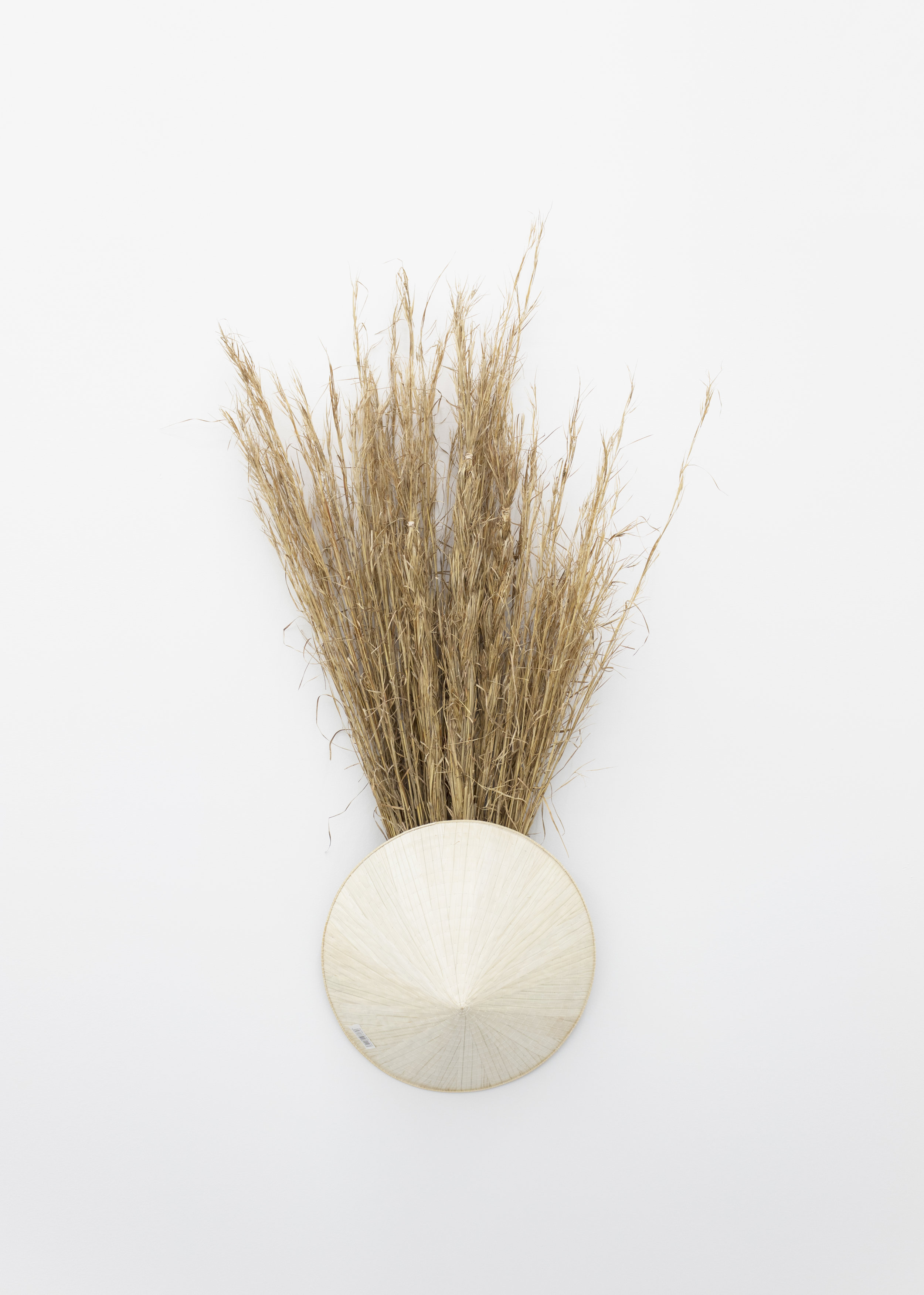  Millian Giang Lien Pham,  Preforge: 9 Stages (Six) , 2019. Grass, conical hat 