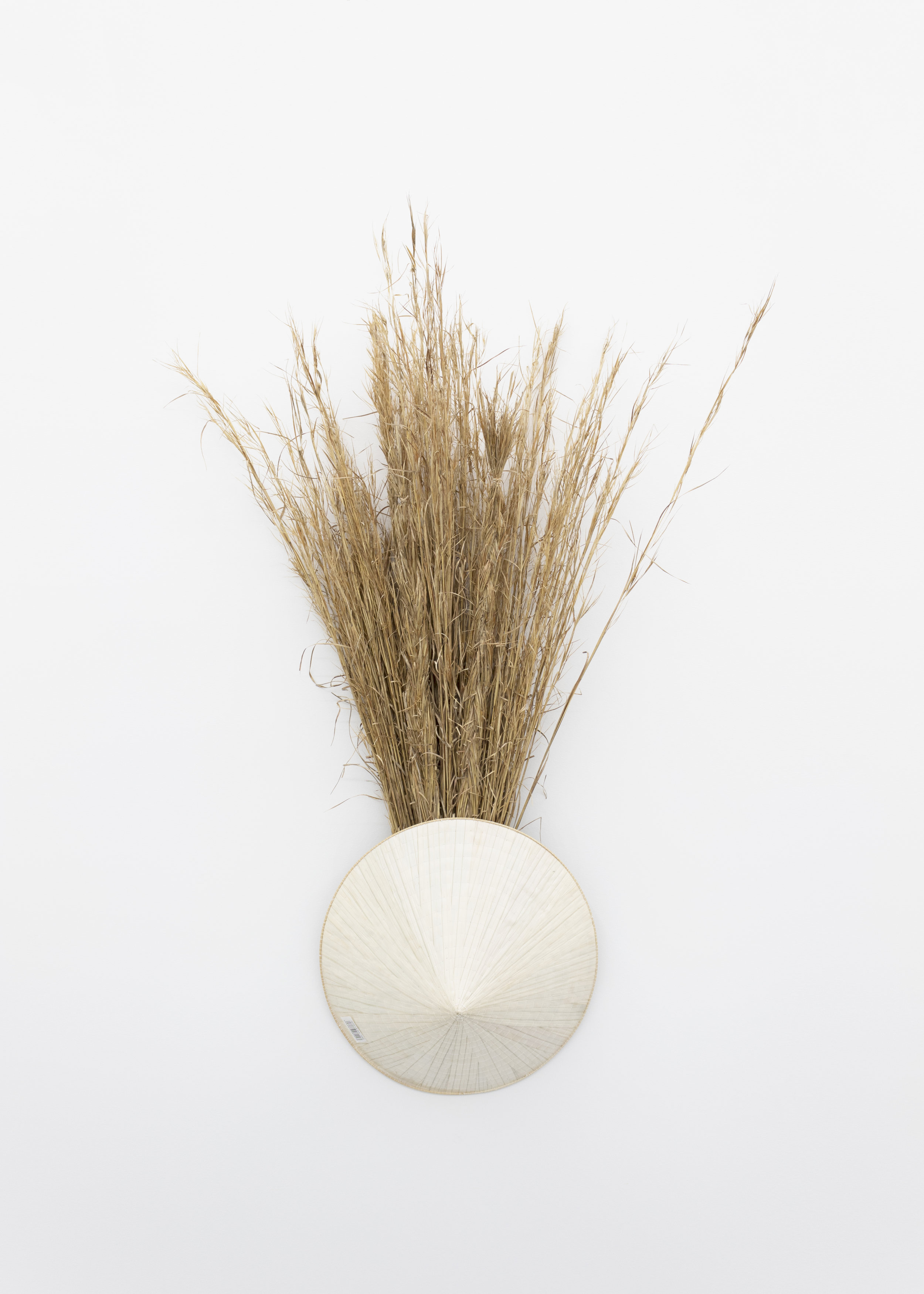  Millian Giang Lien Pham,  Preforge: 9 Stages (Seven) , 2019. Grass, conical hat 