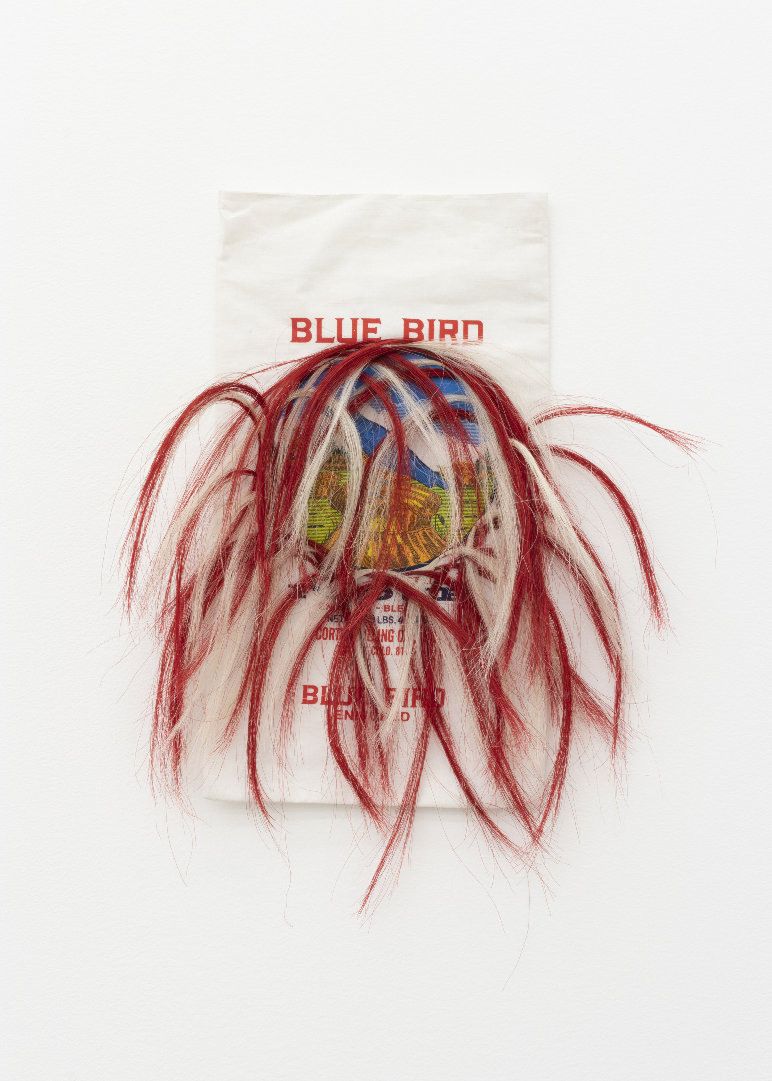   Treaty No. 16 , 2019, Blue Bird Flour Bag, horse hair, thread, 20 x 16 in. 