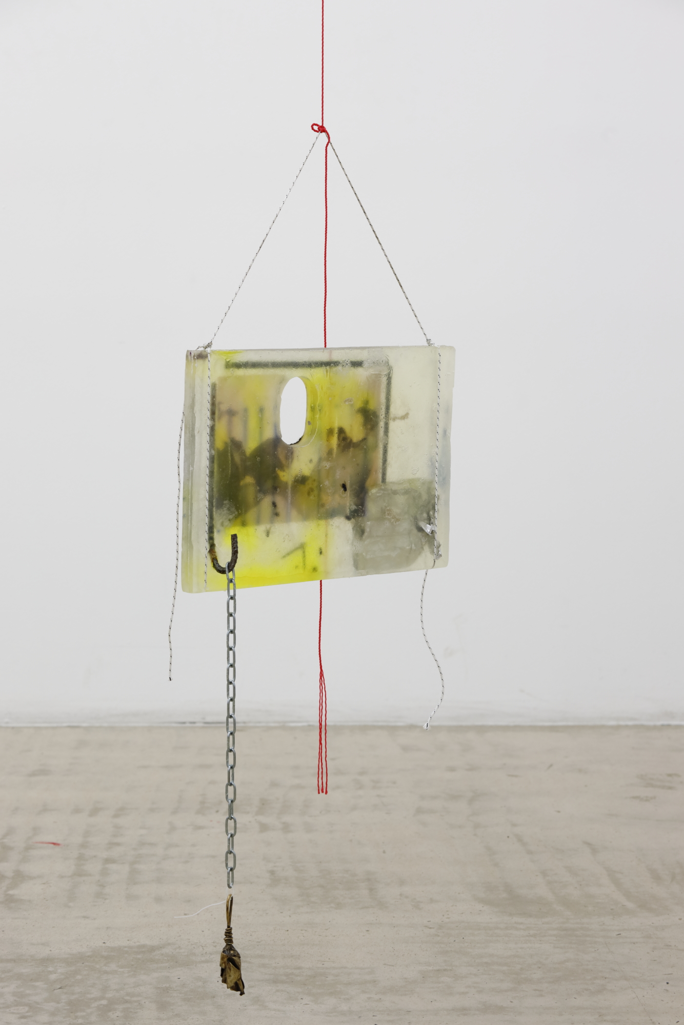  Evita Vasiļjeva, Jaakko Pallasvuo, “Untitled”, 2019, soap, string, steel, laser prints, plastic, cardboard, aluminum, insects, pigments 