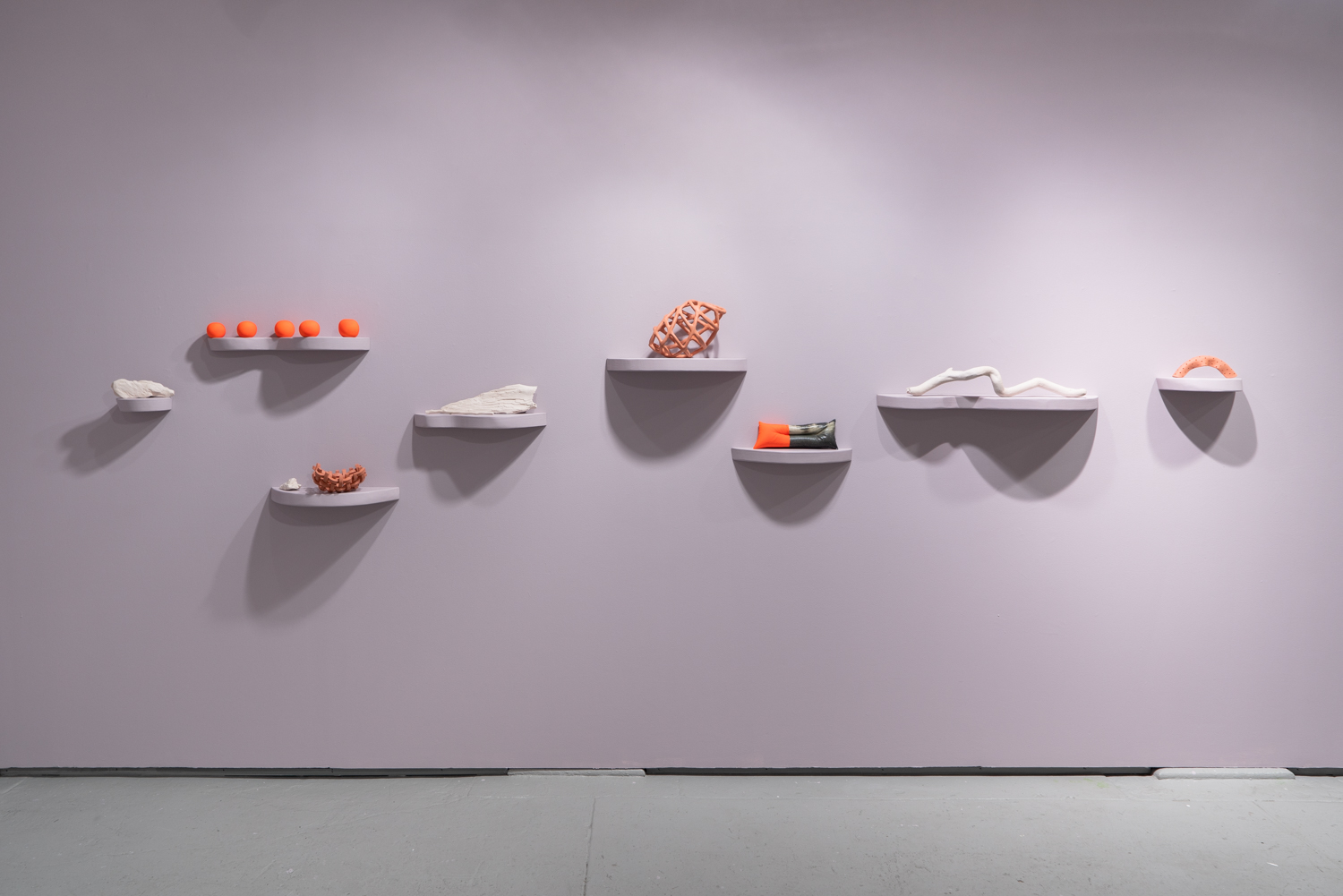  Meghan Grubb,  river-bodies,  2019, shelves, various handmade objects, dimensions variable 